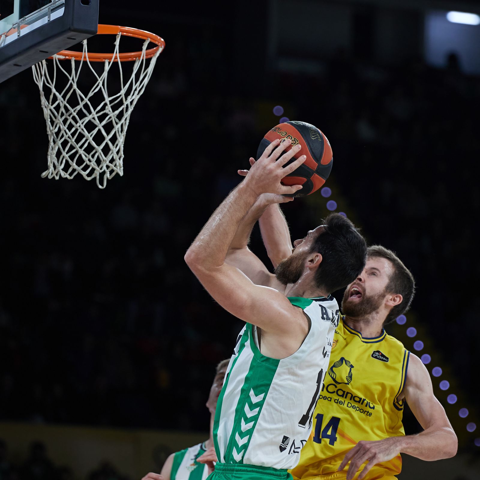 Las fotos del gran triunfo del Betis Baloncesto sobre el Gran Canaria