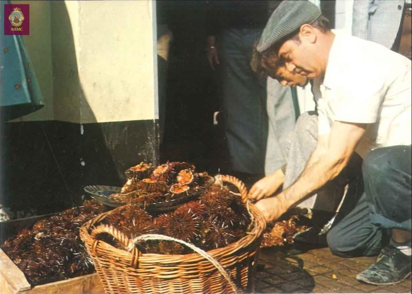 Eterno gaditano