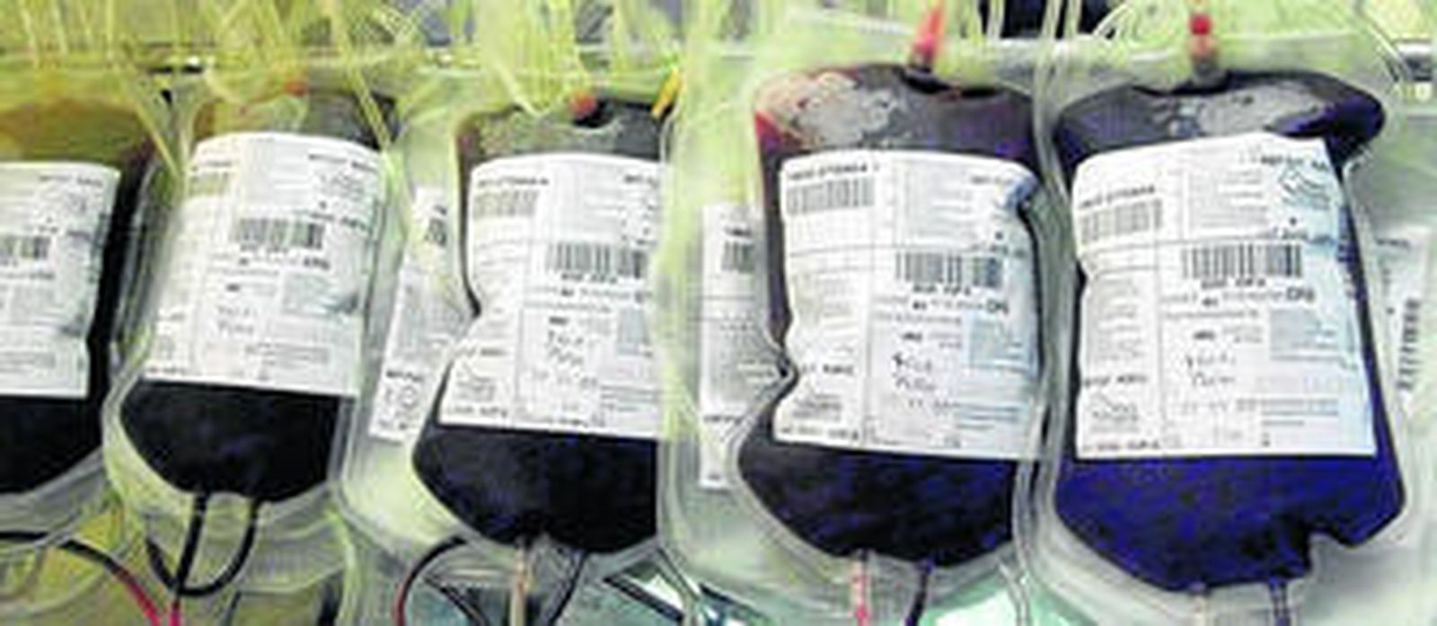 La sangre para transfusiones y sus derivados requieren cumplir protocolos exhaustivos para la seguridad de los enfermos.