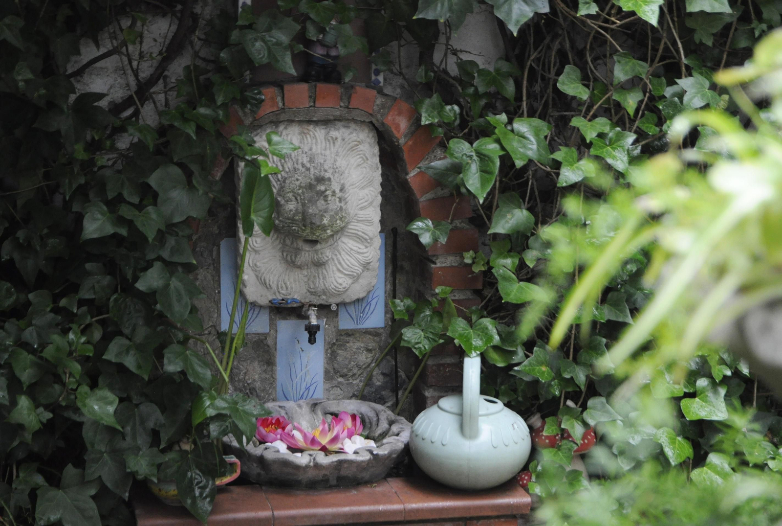 Los Patios de Córdoba se acicalan para su apertura en otoño, en fotografías