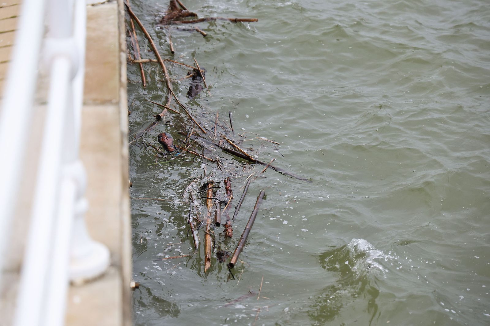 Muelle de carga de la Riotinto con marea alta en la borrasca Leonardo (30)