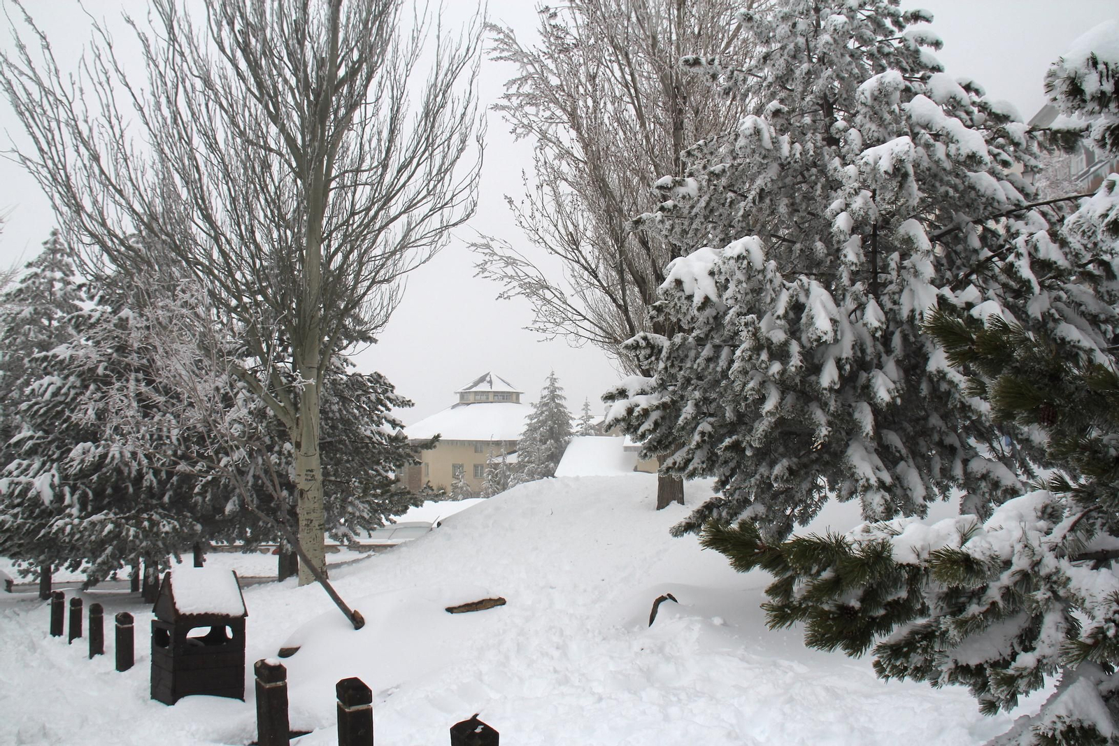 La nevada del fin de semana en Sierra Nevada, en imágenes