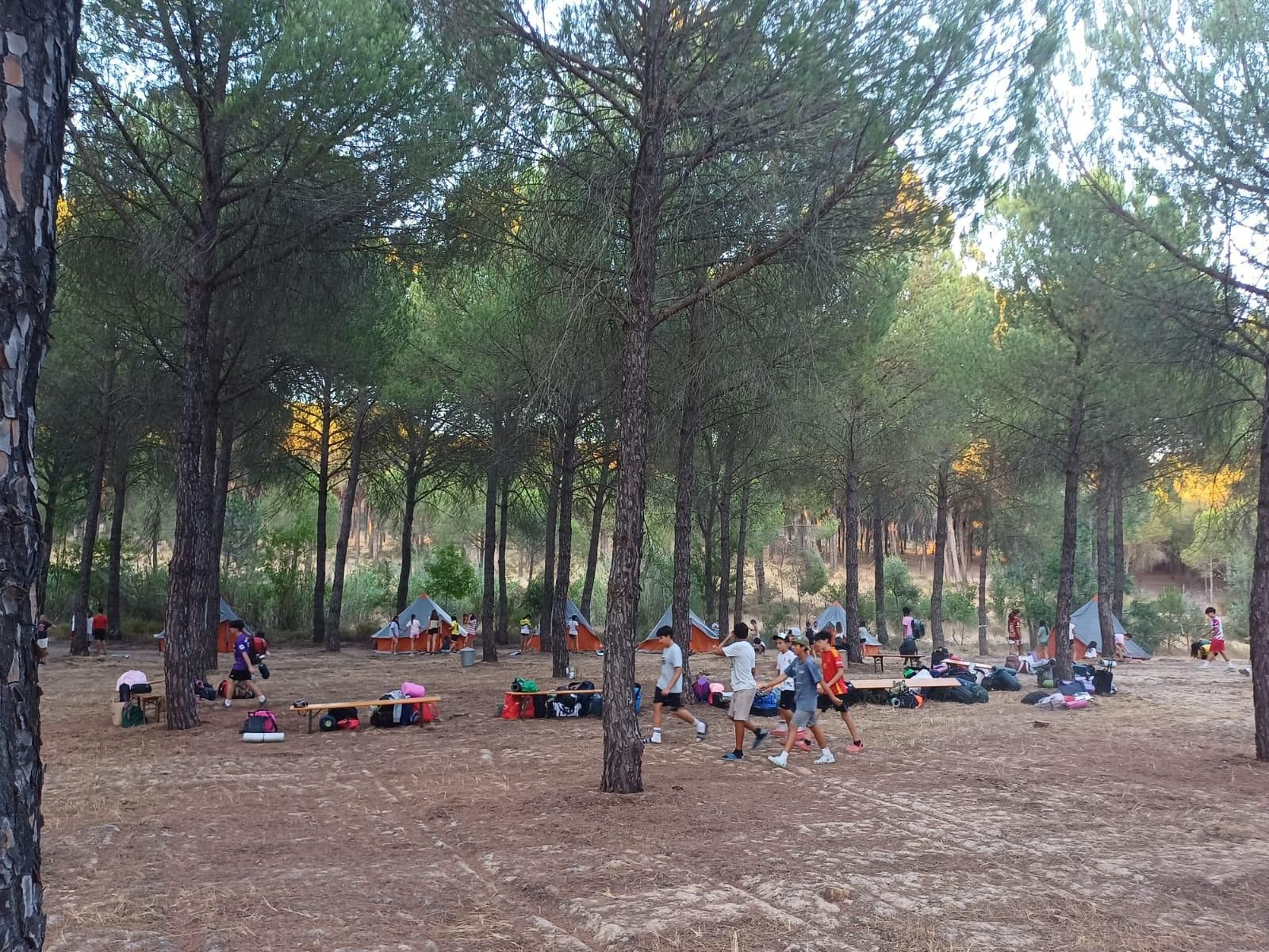 Campamento de Museo Forestal.