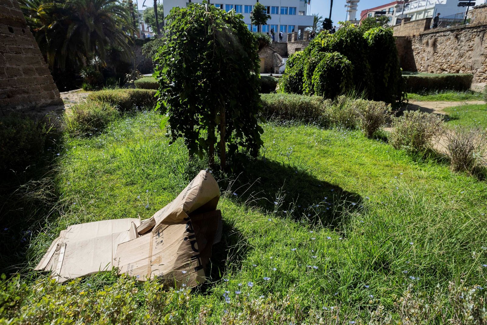 El estado de los jardines de la muralla de Cádiz