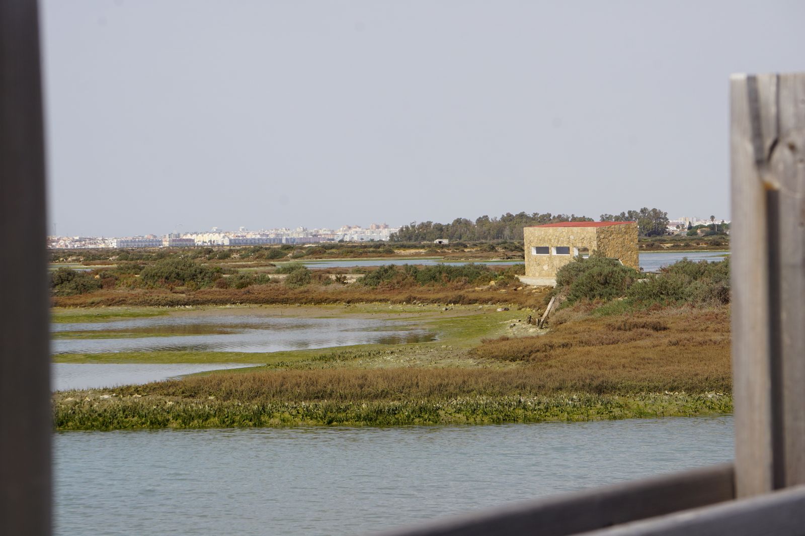 Parque Natural Bahía de Cádiz