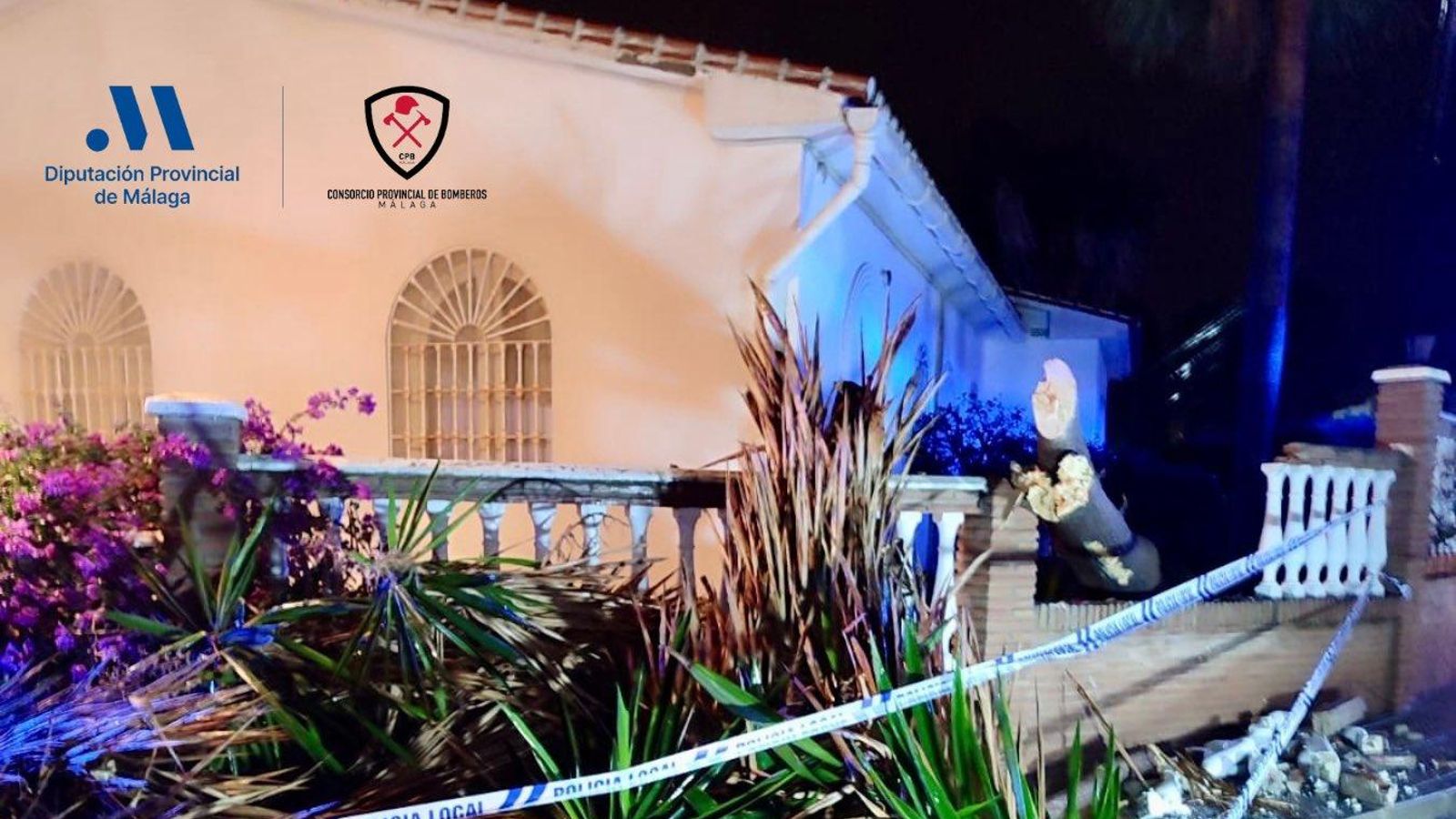 Palmera caída en Caleta de Vélez