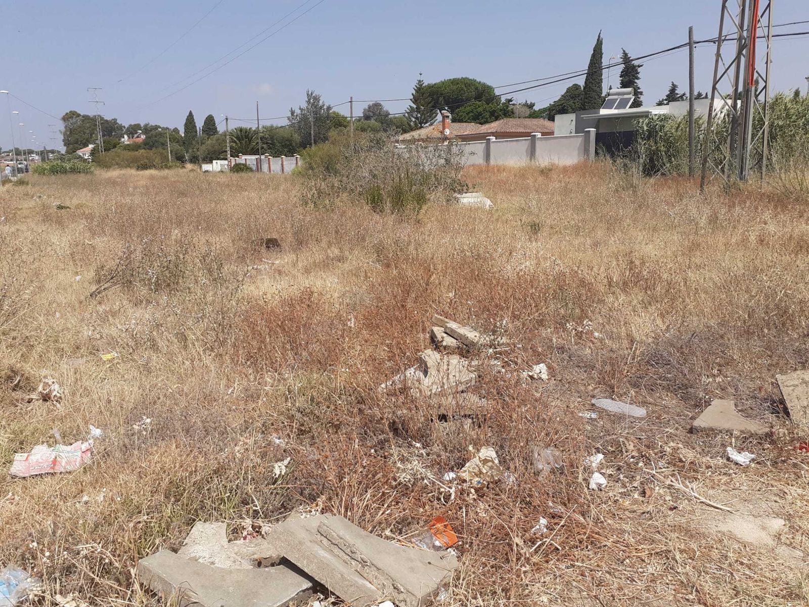 Una imagen de la vegetación seca que se prodiga por la zona.
