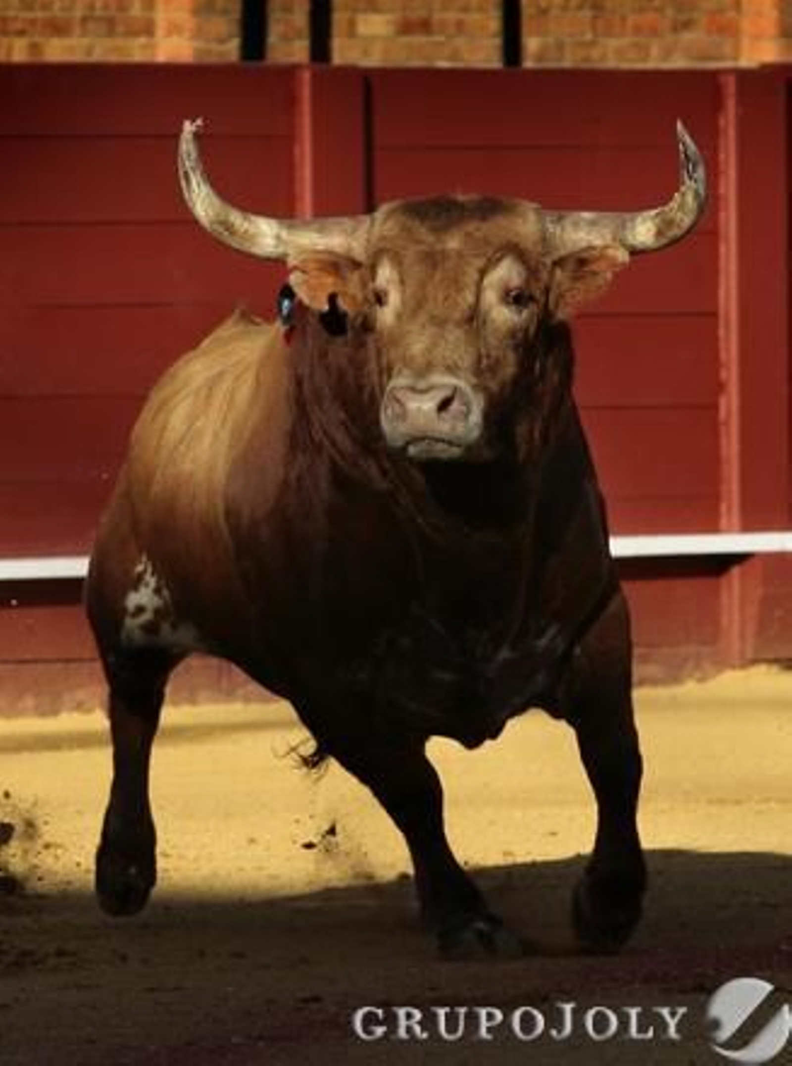 Juan Mora con el cuarto astado.

Foto: Juan Carlos Munoz