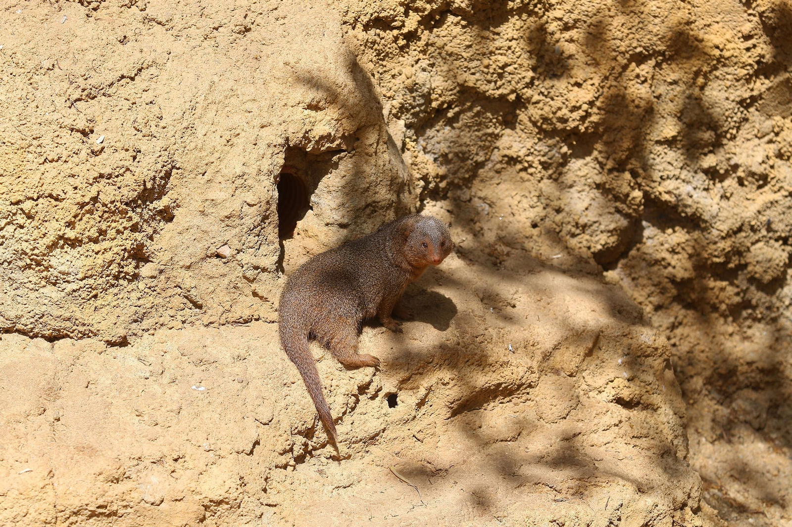 Fotogalería del Oasys Mini Hollywood sin actividad durante el coronavirus