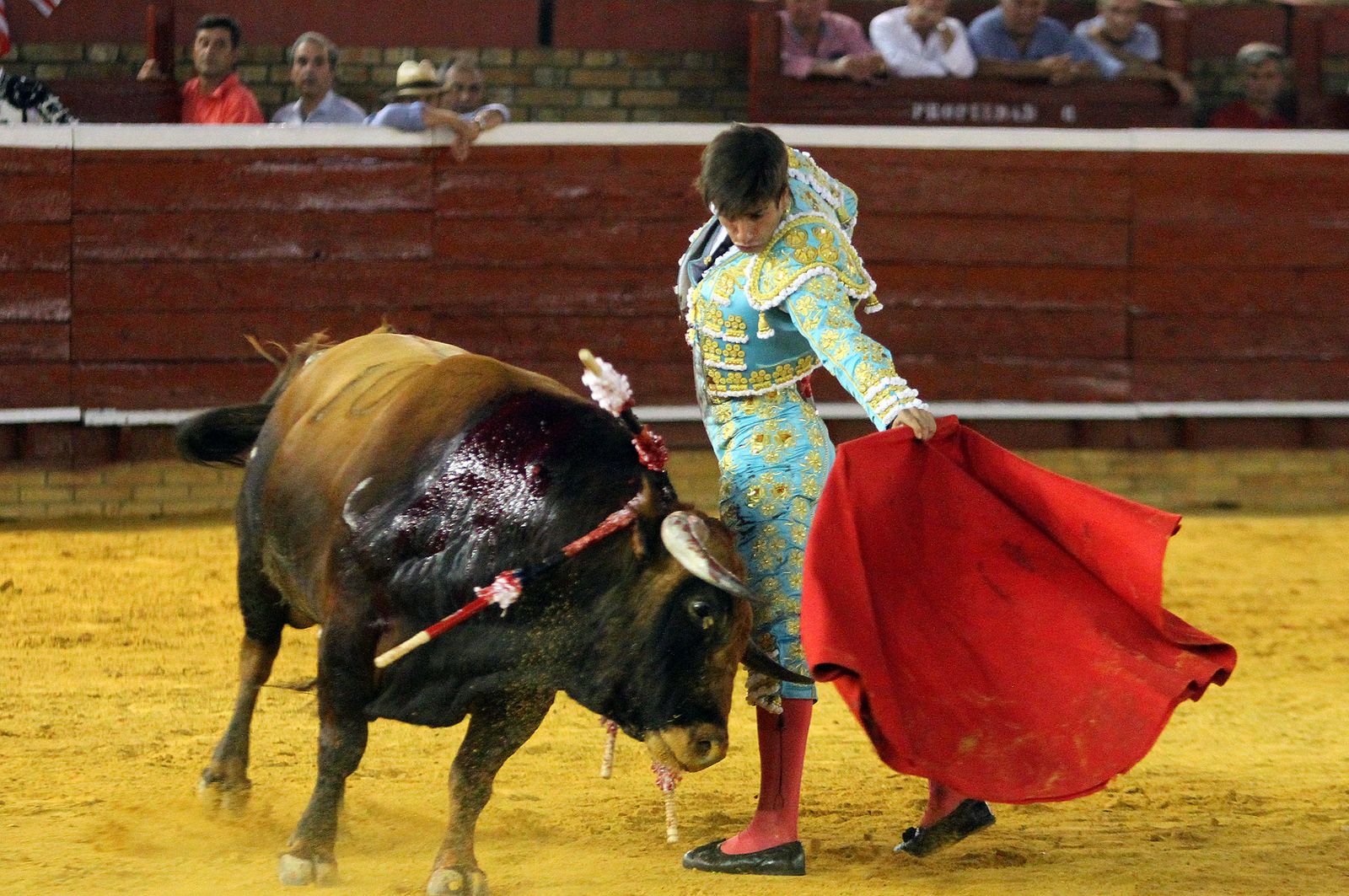 Imágenes de la Novillada de Rafael Serna, Emilio Silvera y Rodrigo Molina.