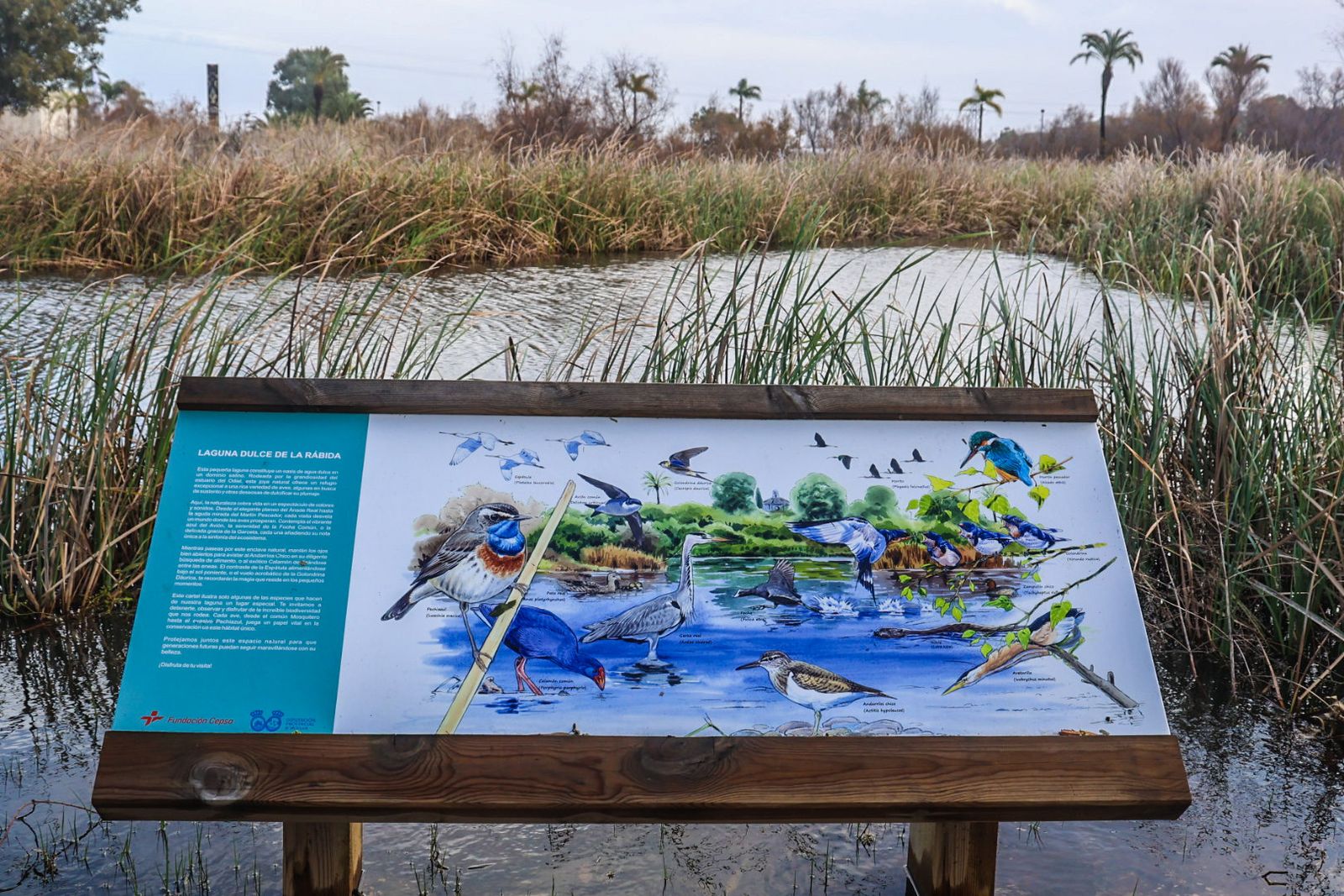 Fotografías de la celebración del Día Mundial de los Humedales