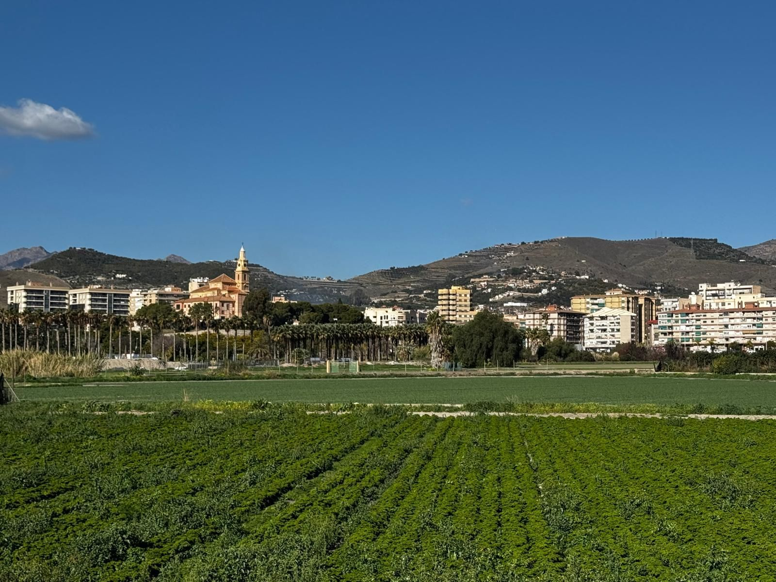 La ciudad de Motril vista desde la vega