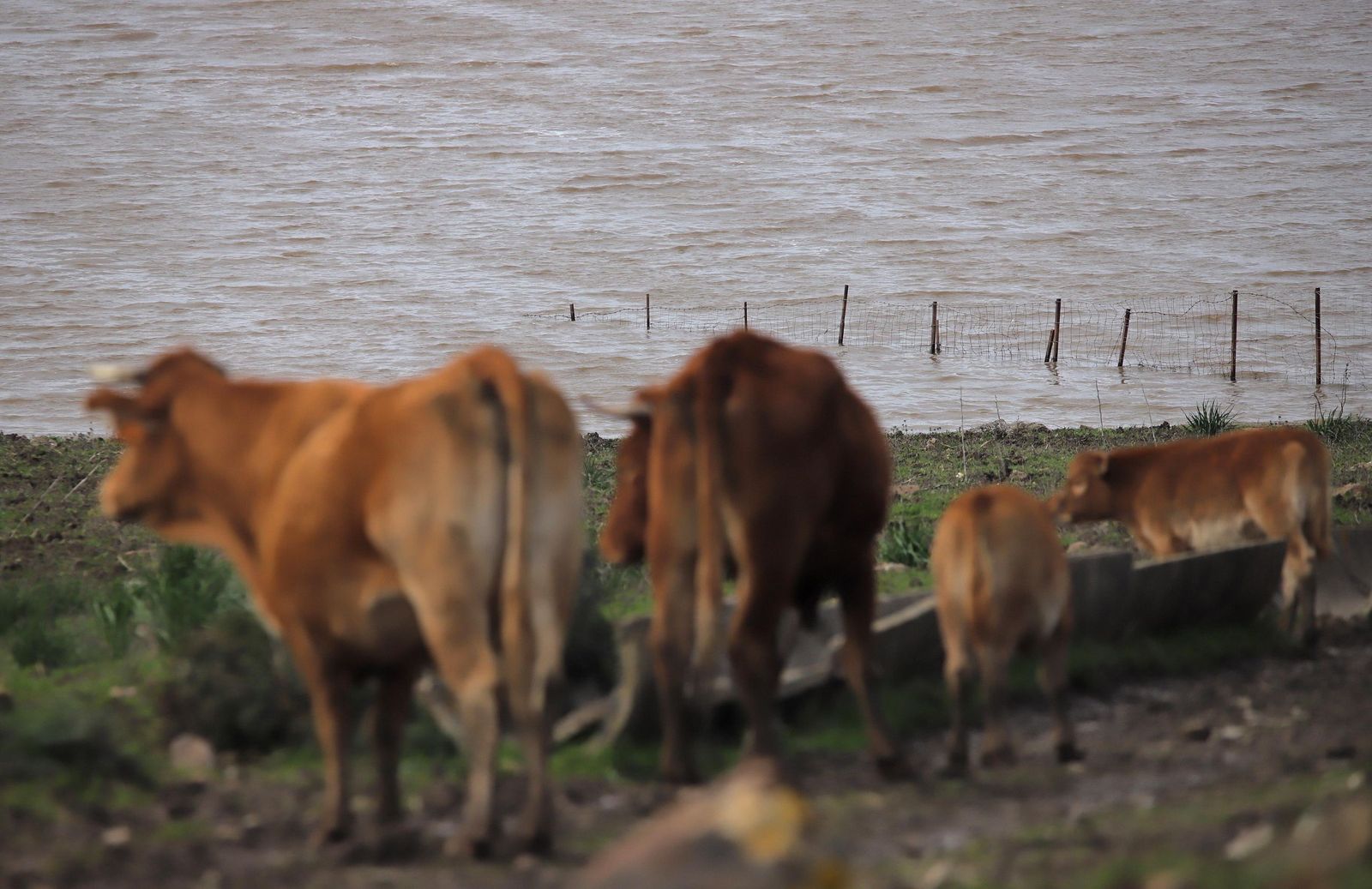 Fotos del embalse de Almodóvar en Tarifa
