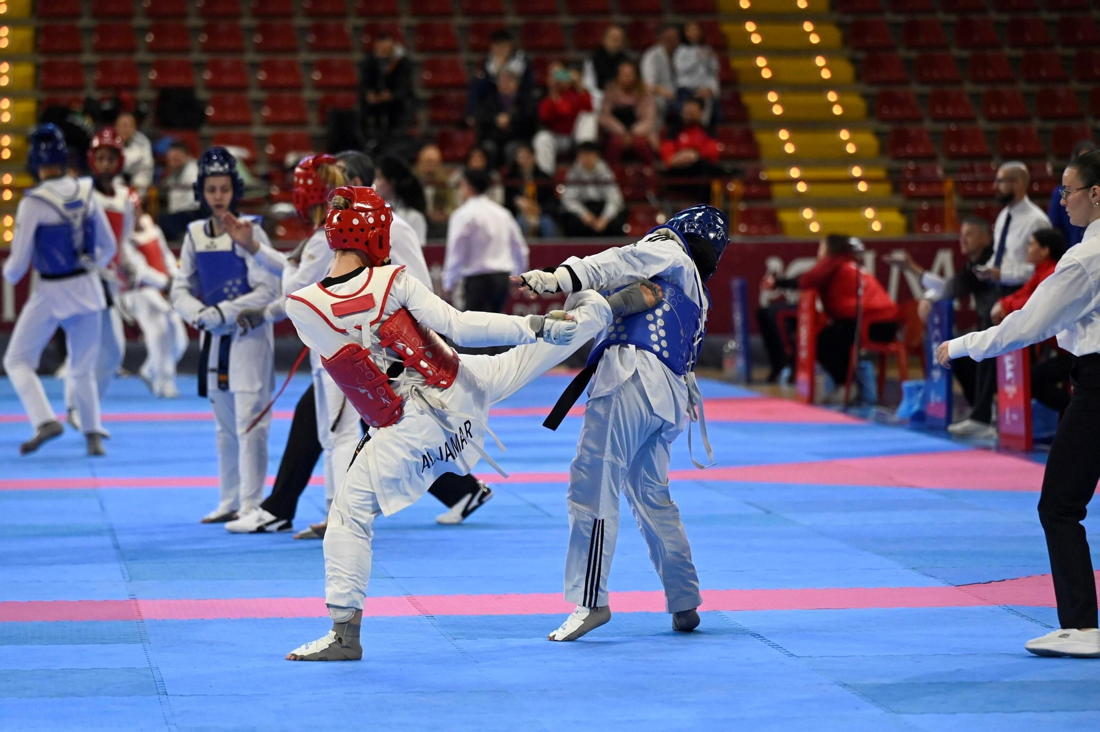 Las mejores fotos del Open Internacional de Andalucía de taekwondo en Córdoba