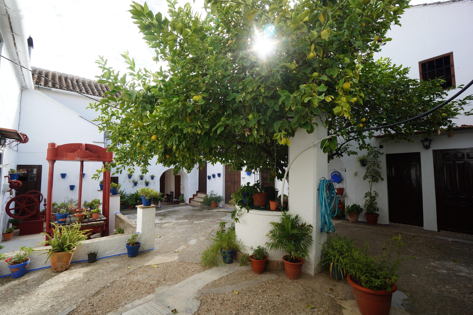 Montilla, vino en los patios de bodegas y lagares Montilla, entre vinos y flores