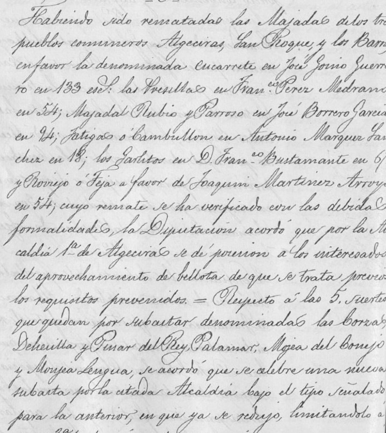 La Alcaldía 1º de Algeciras da a los interesados posesión del aprovechamiento de la bellota.