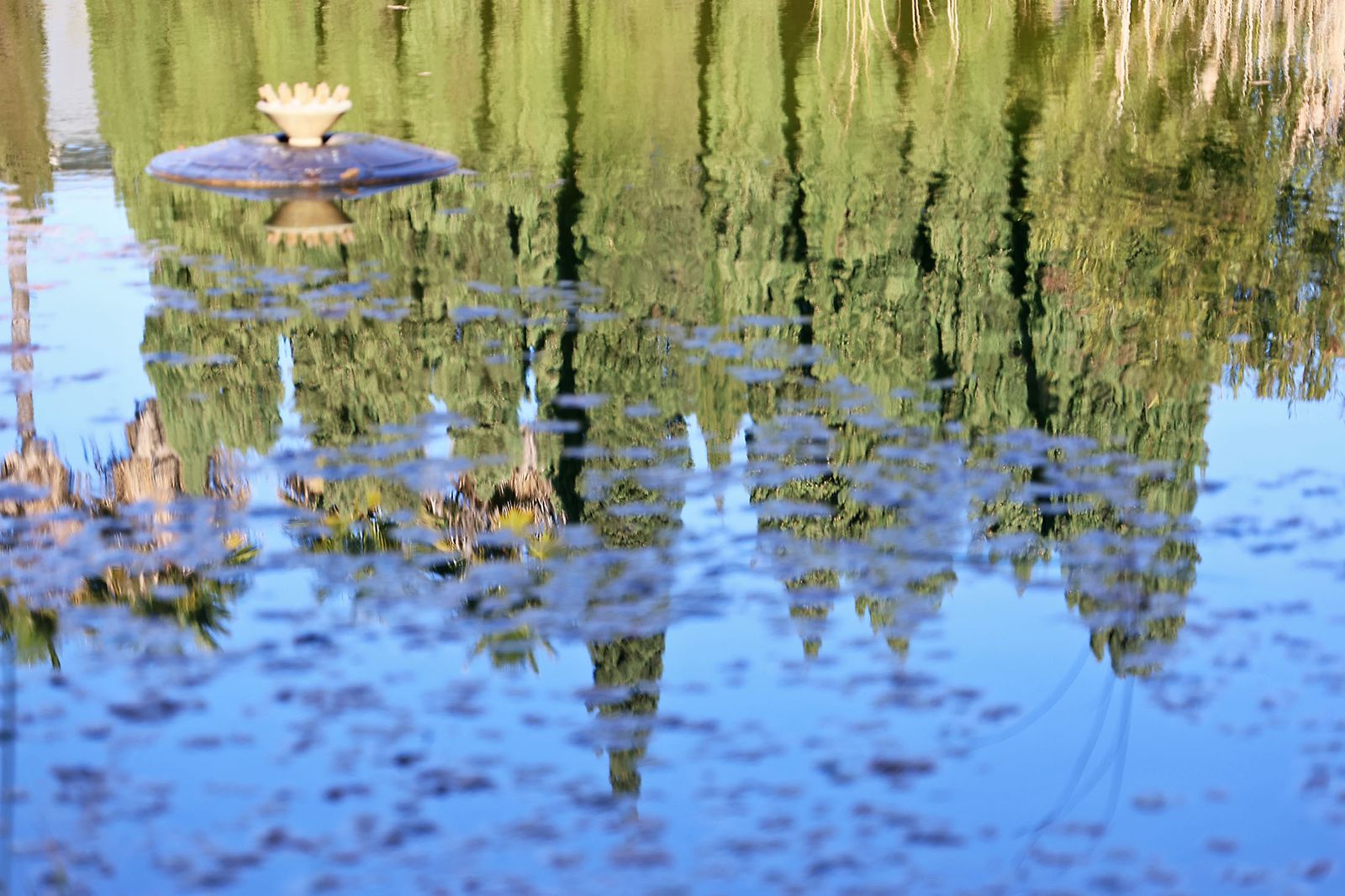 Las imágenes más destacadas del lunes 13 de enero en Huelva
