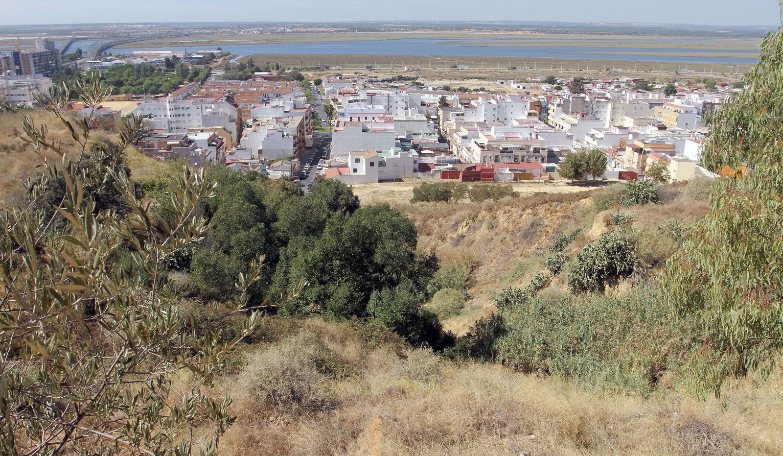 Las laderas del Cabezo del Conquero, proyectadas sobre Las Colonias, con el fondo de las Marismas del Odiel.