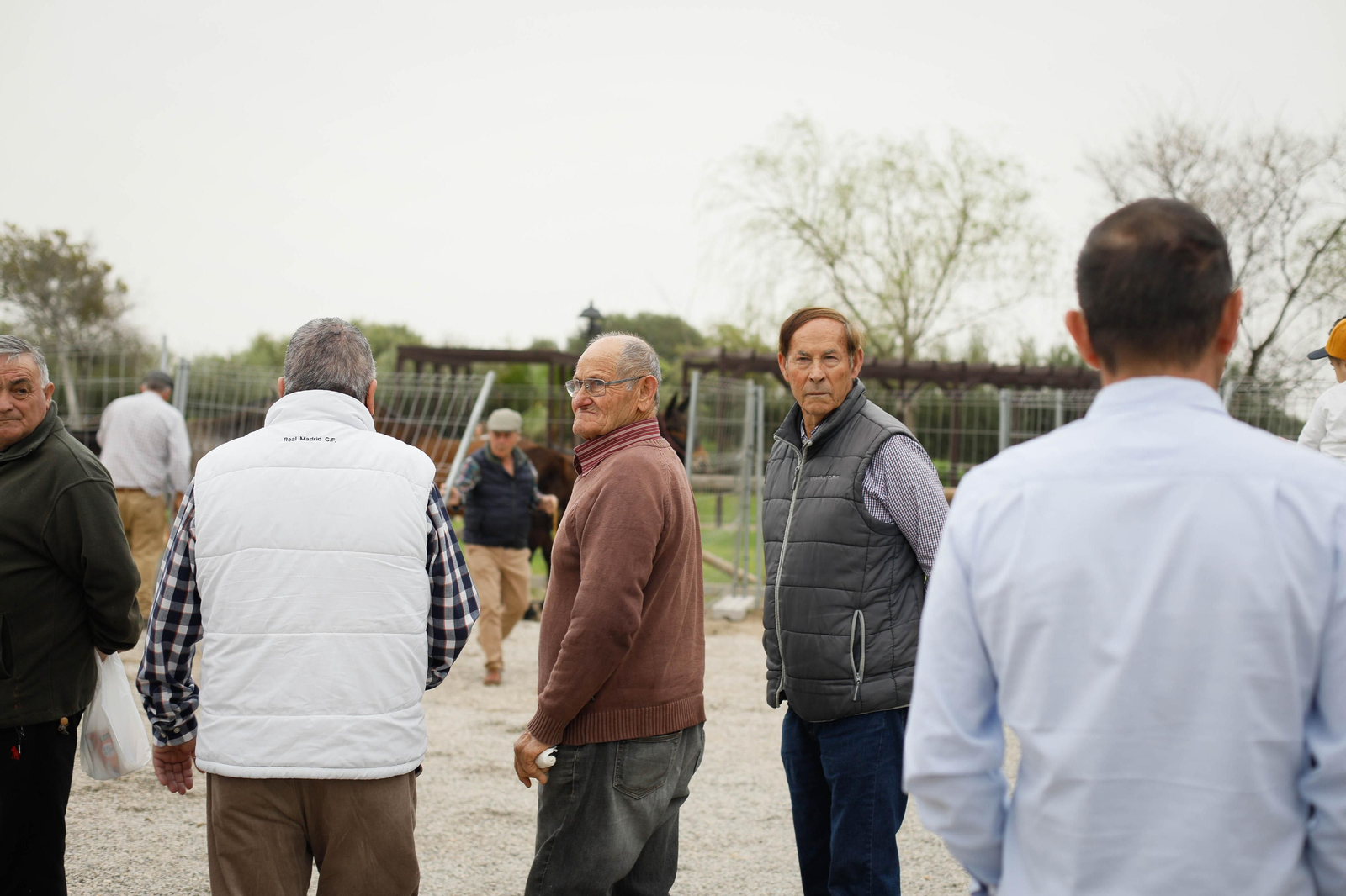 Galería de la Feria  de ganado en Tarambana