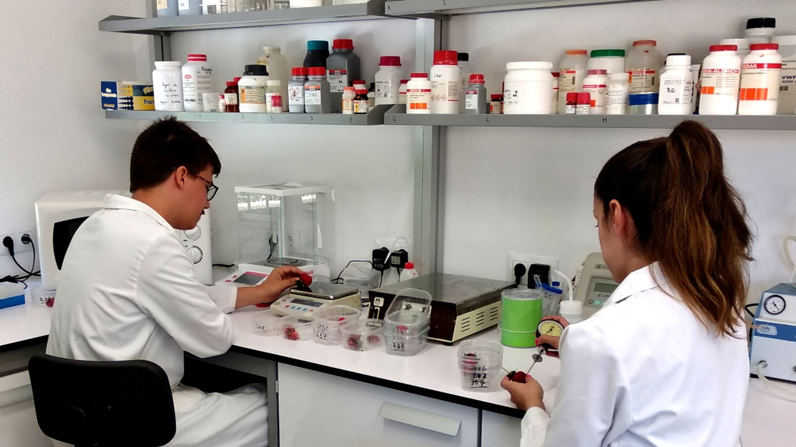 Investigadores del Ifapa en Córdoba.