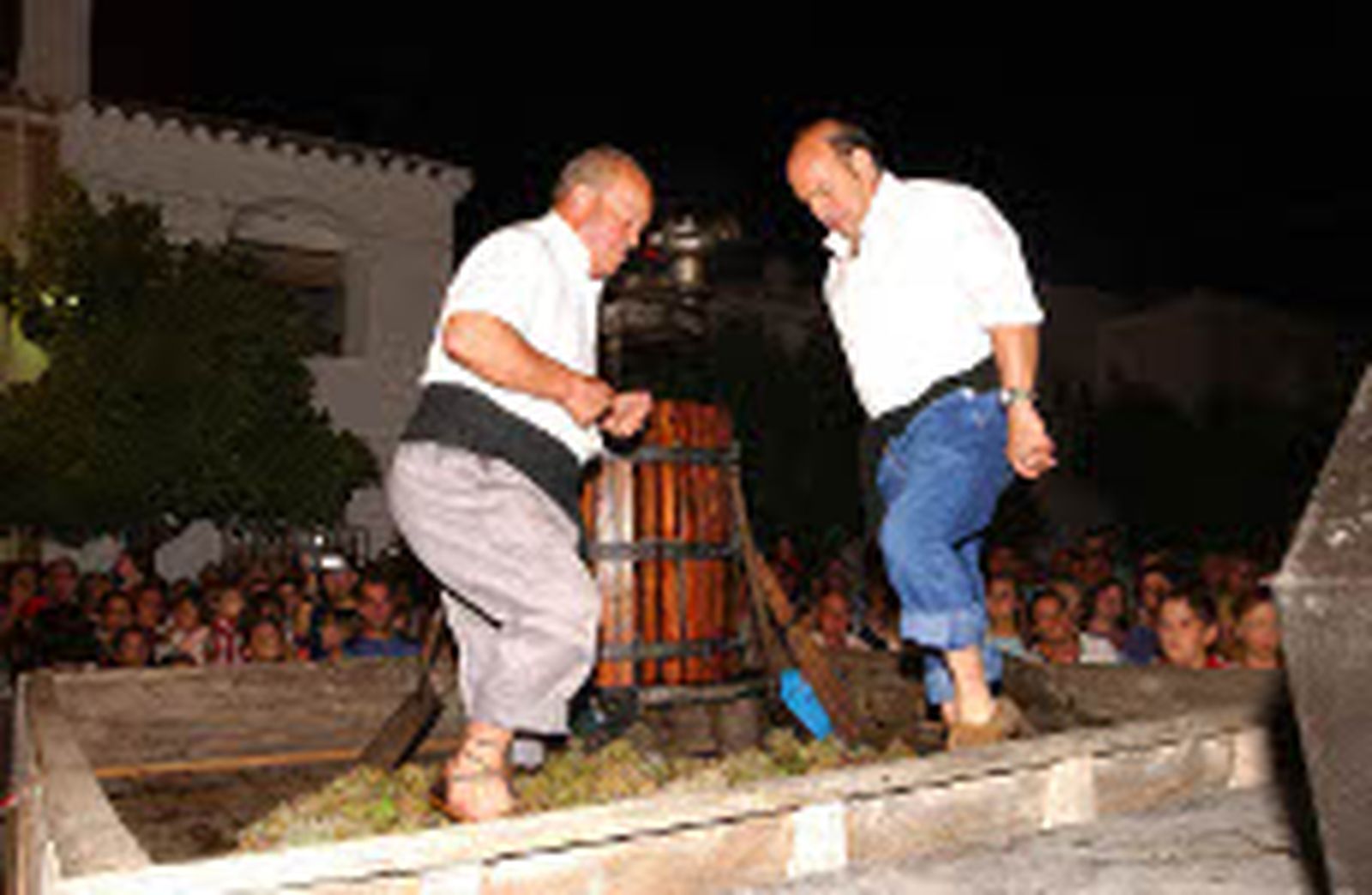 Ruta de uvas y aceitunas