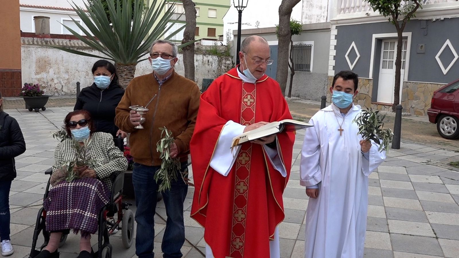 Las fotos del domingo de palmas y olivos en San Roque