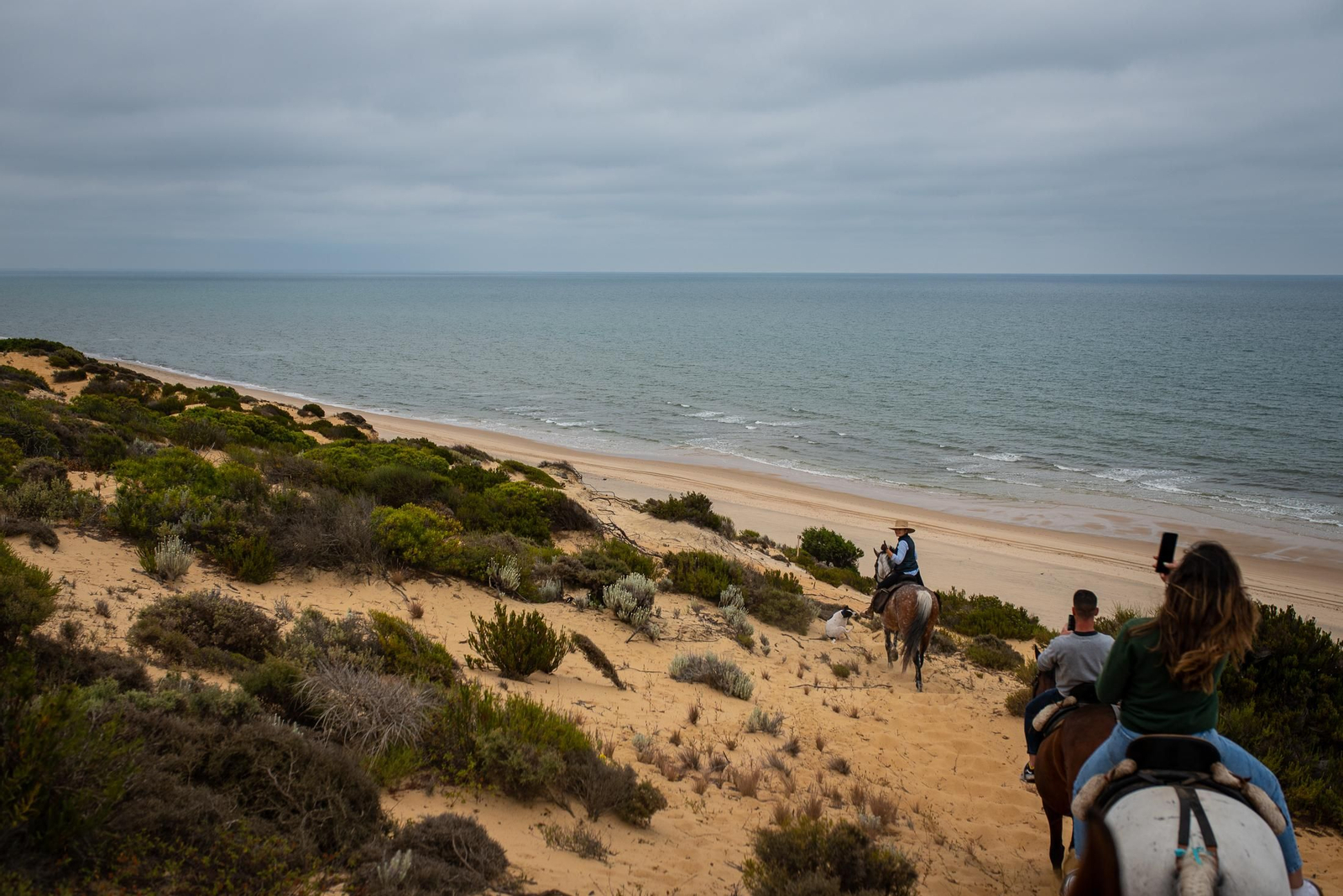 Un paseo a caballo por Doñana en imágenes