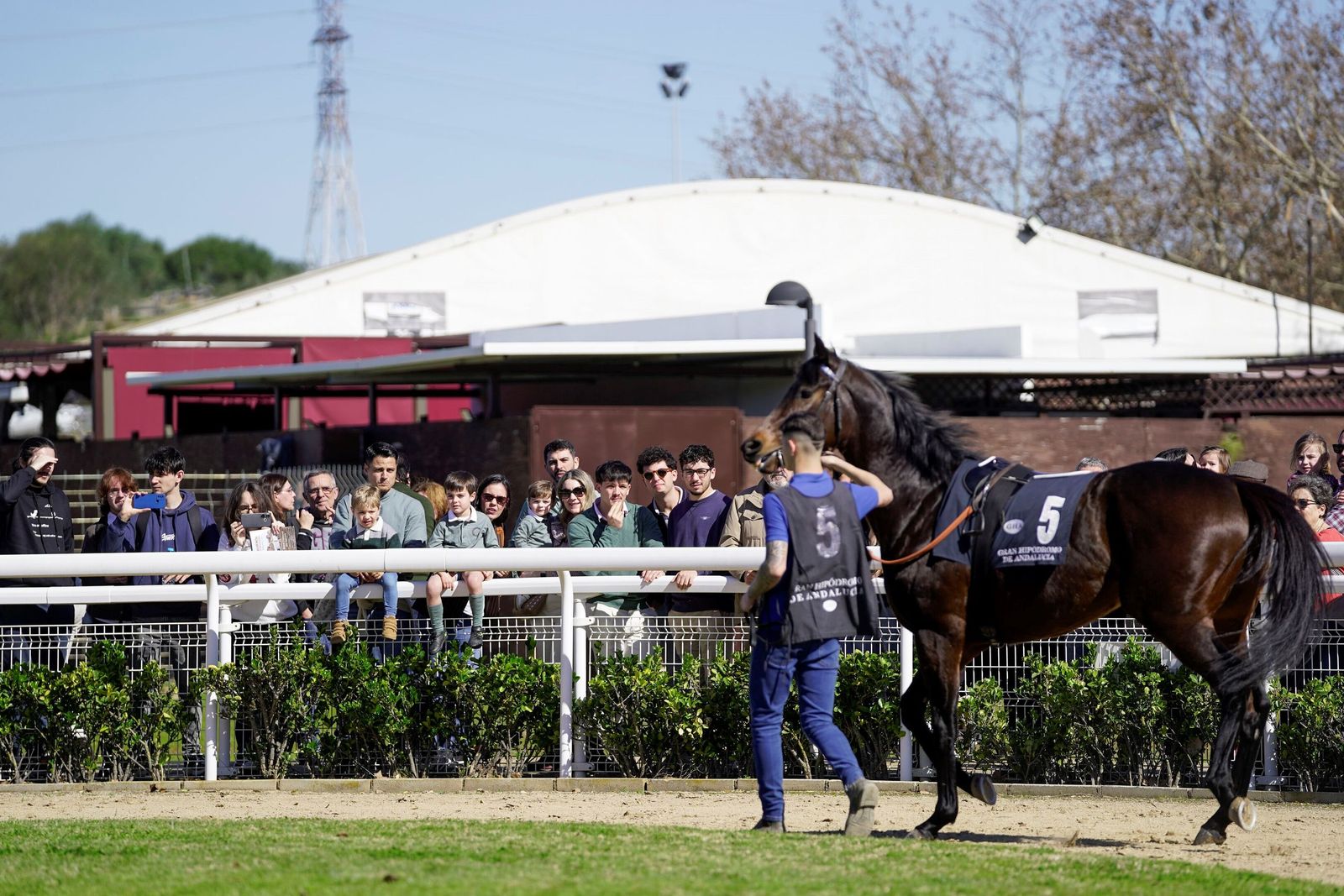 Las fotos del Premio Diario de Sevilla en el hipódromo de Dos Hermanas