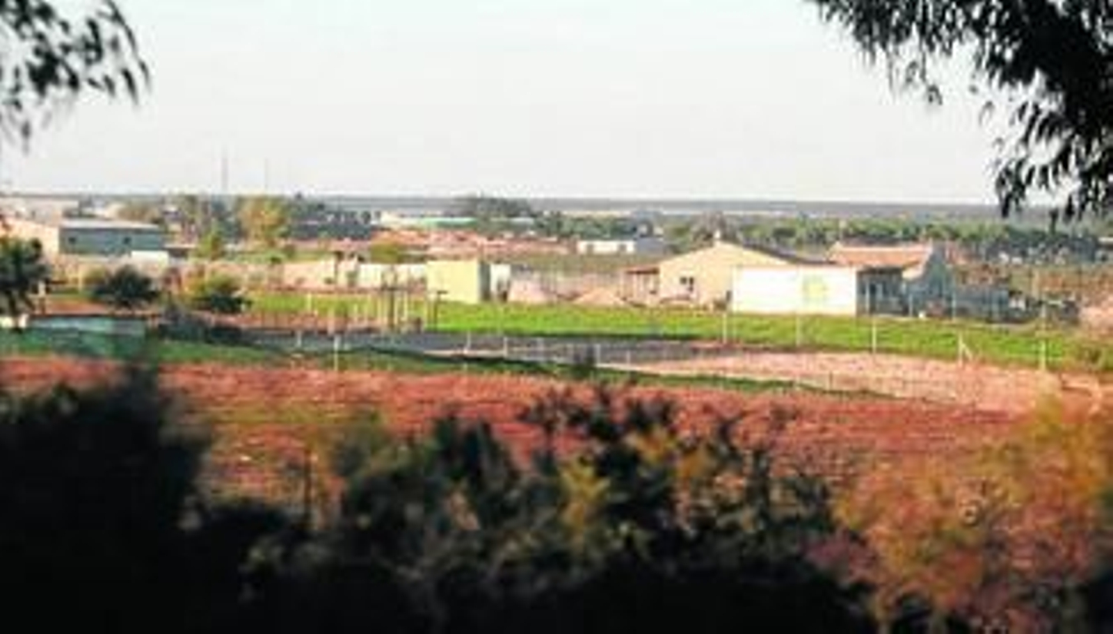 La estafa afectó a propiedades en el campo de los términos de Bollullos y Almonte.