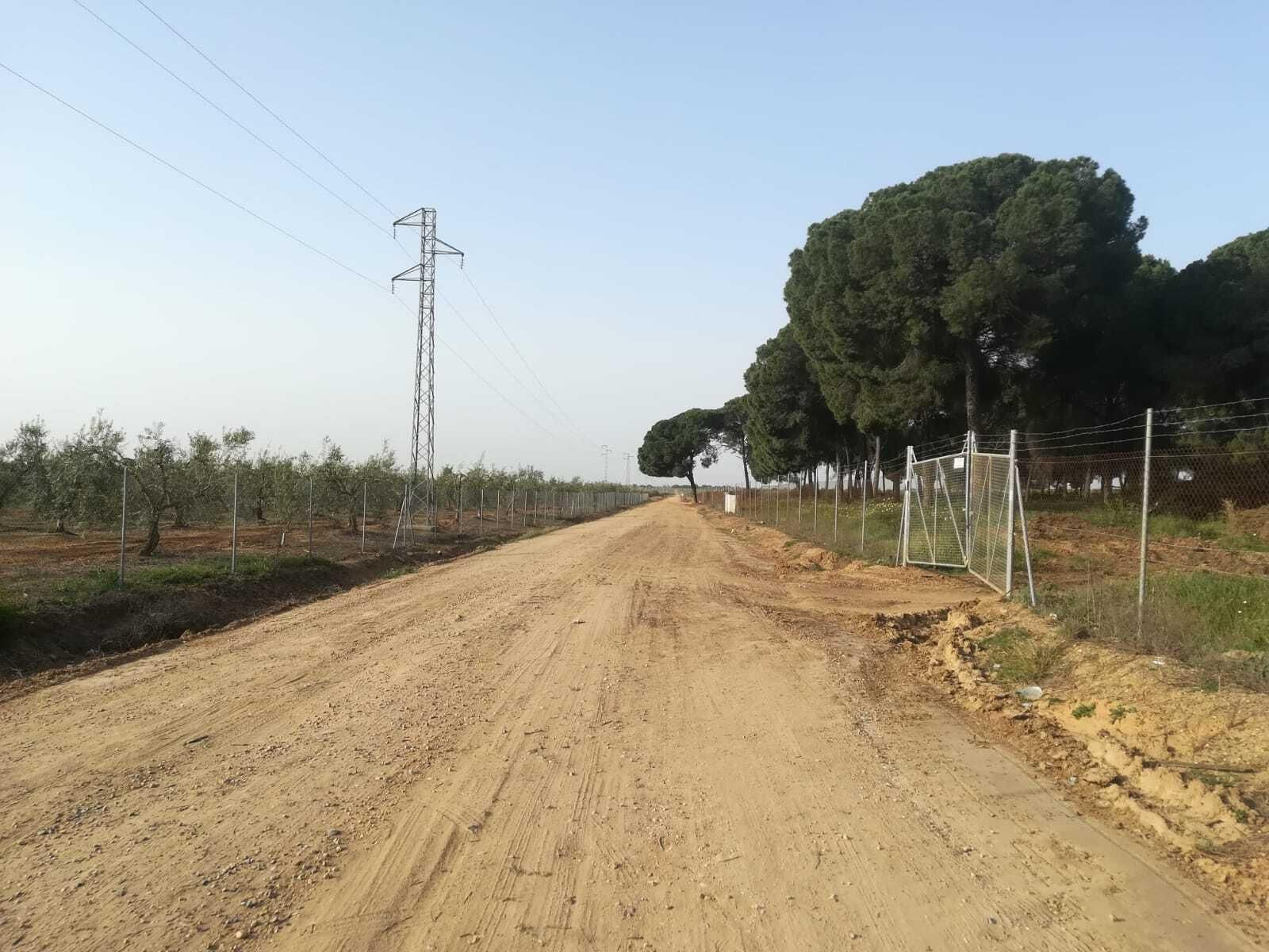 Fotos de la ruta Umbrete-Ermita de Cuatrovitas