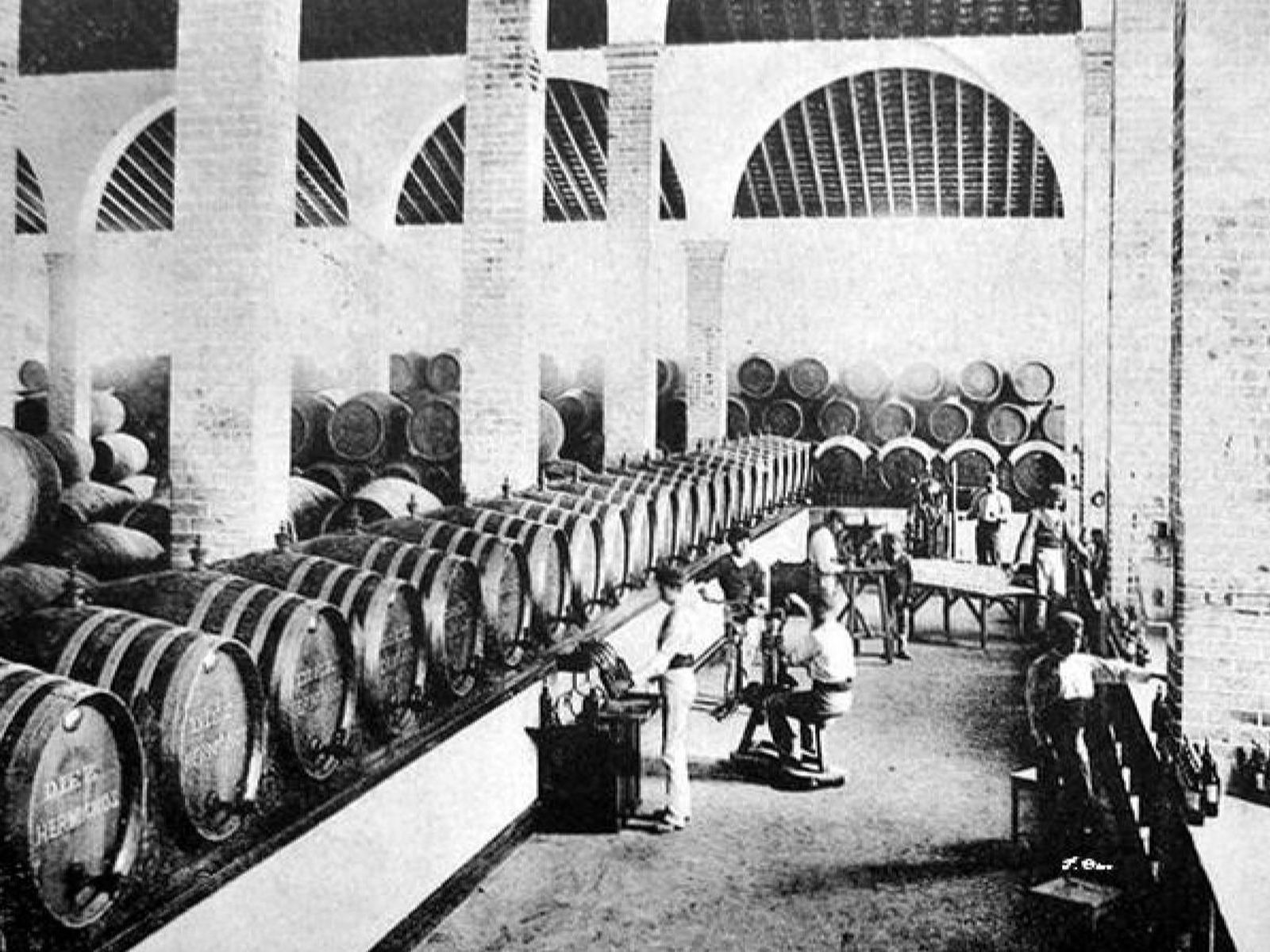 Bodega de la compañía Díez Hnos., finales del XIX.