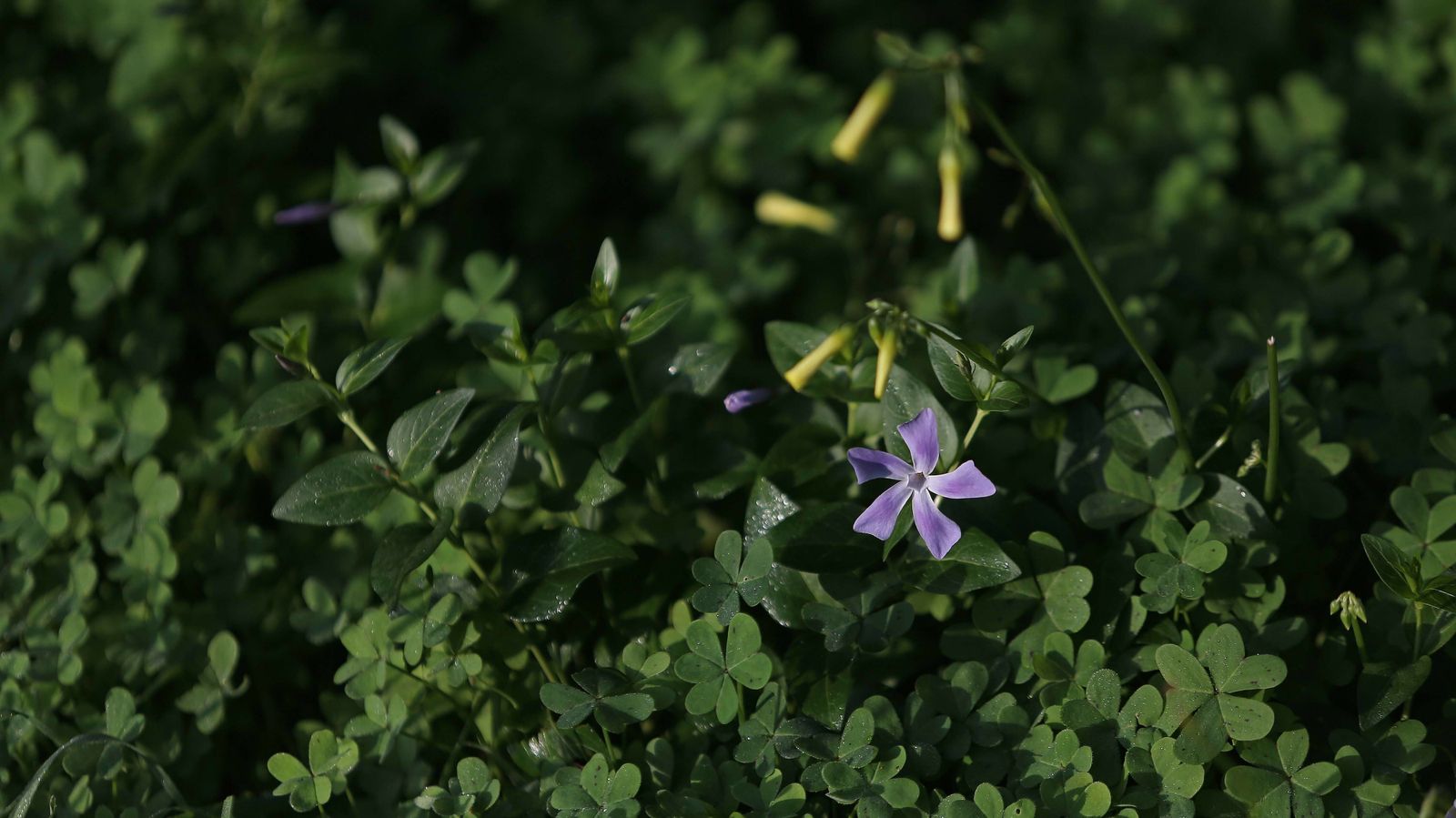 Las mejores fotos del parque fluvial del Río Pícaro