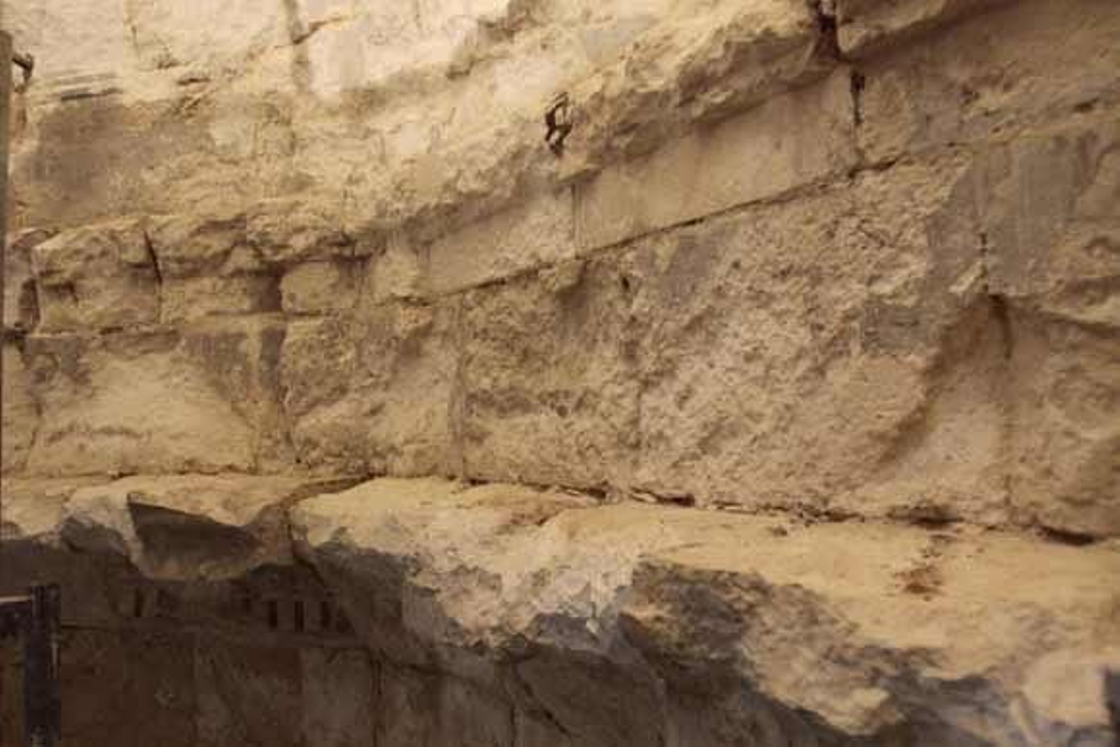 Foto: Lourdes de Vicente