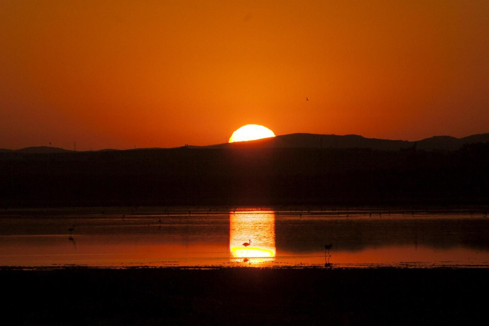 Amanecer flamenco en Fuente de Piedra