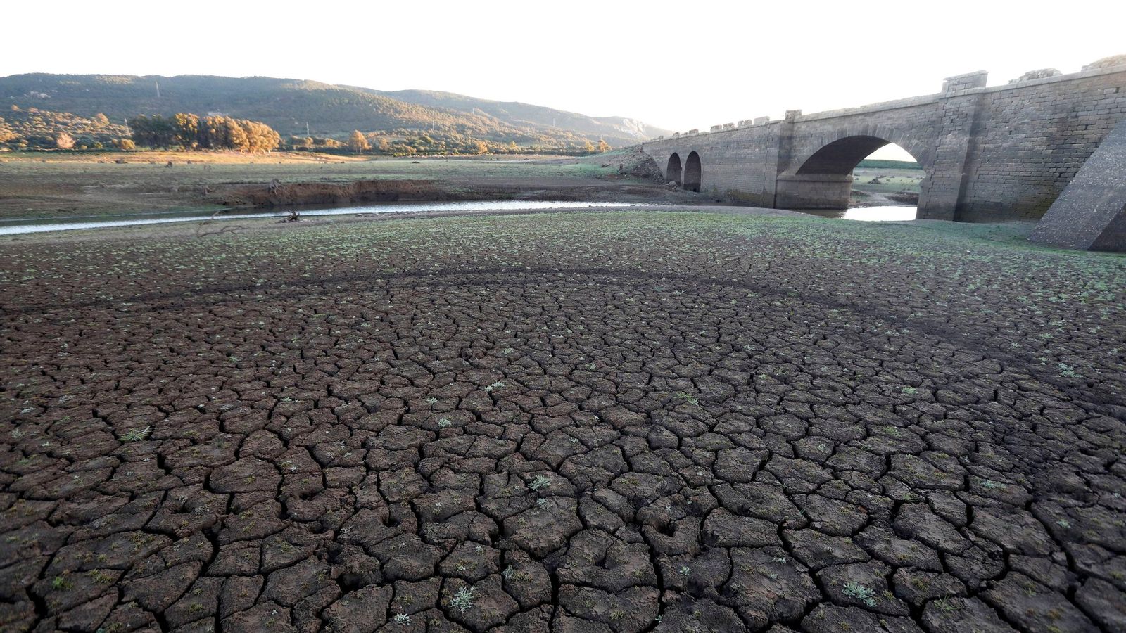 Imagen del embalse de Charco Redondo en la localidad e Los Barrios.