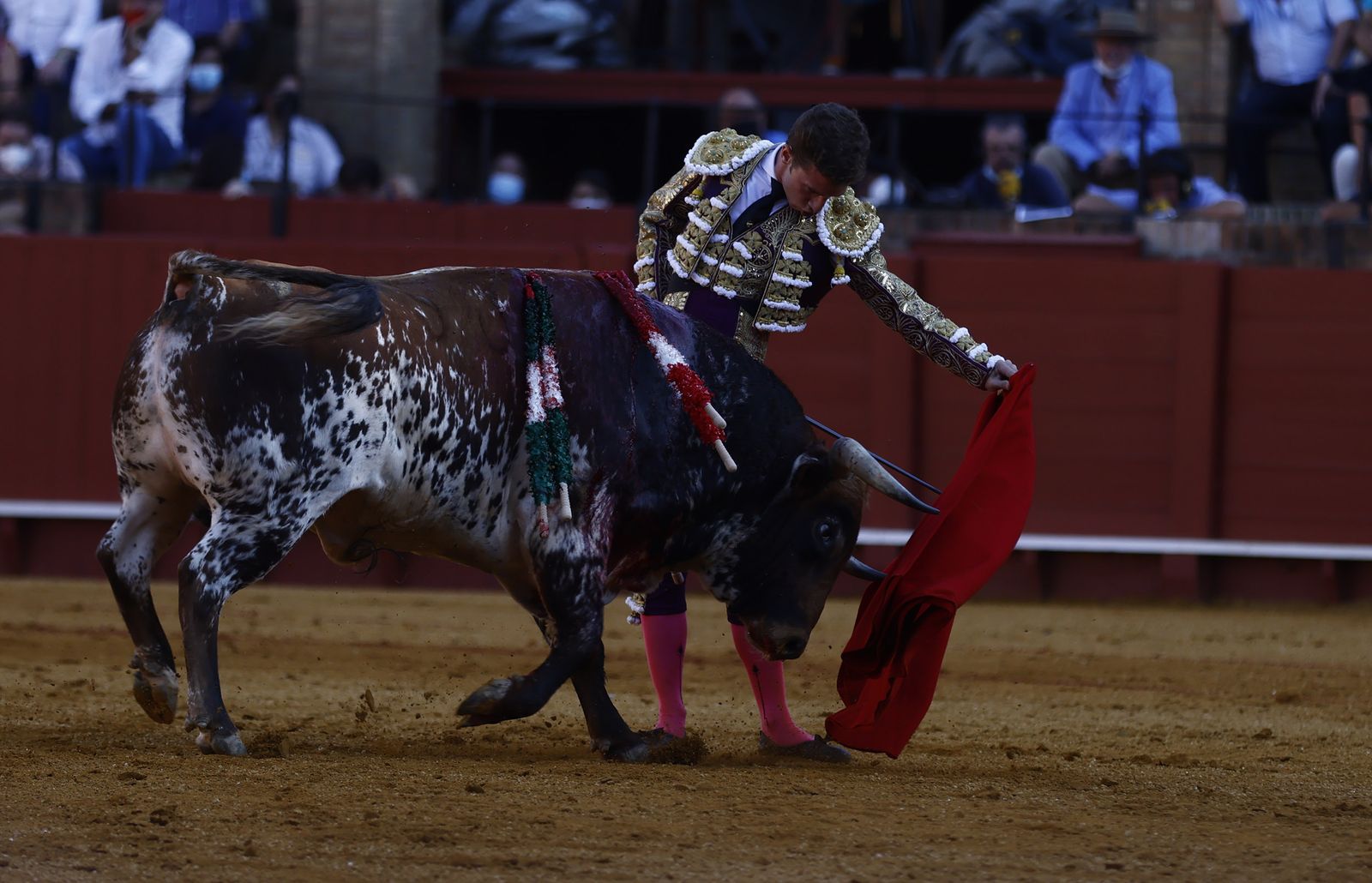 Fotos de la segunda novillada de la feria de San Miguel de Sevilla