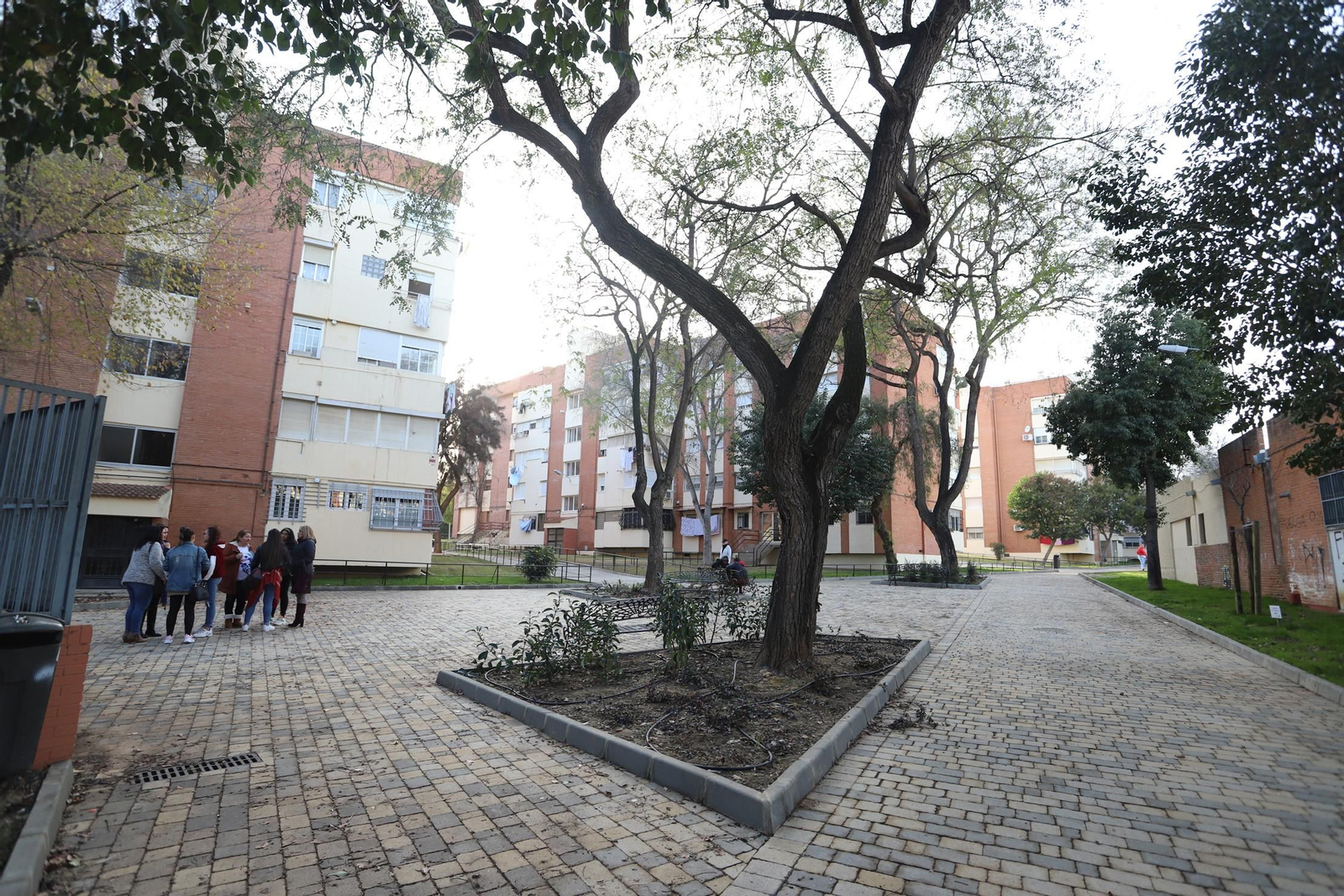 Imágenes de remodelación del área peatonal de Santa Marta