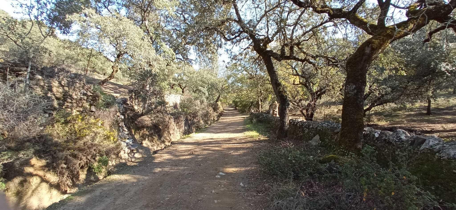 Fotos de la Ruta circular Aracena-Linares de la Sierra-Aracena