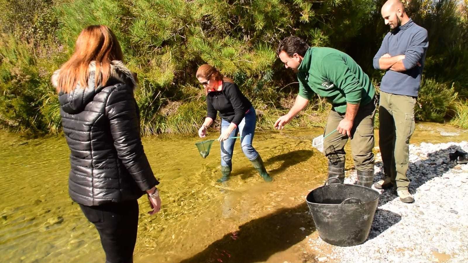 Acto de suelta de los ejemplares de trucha.