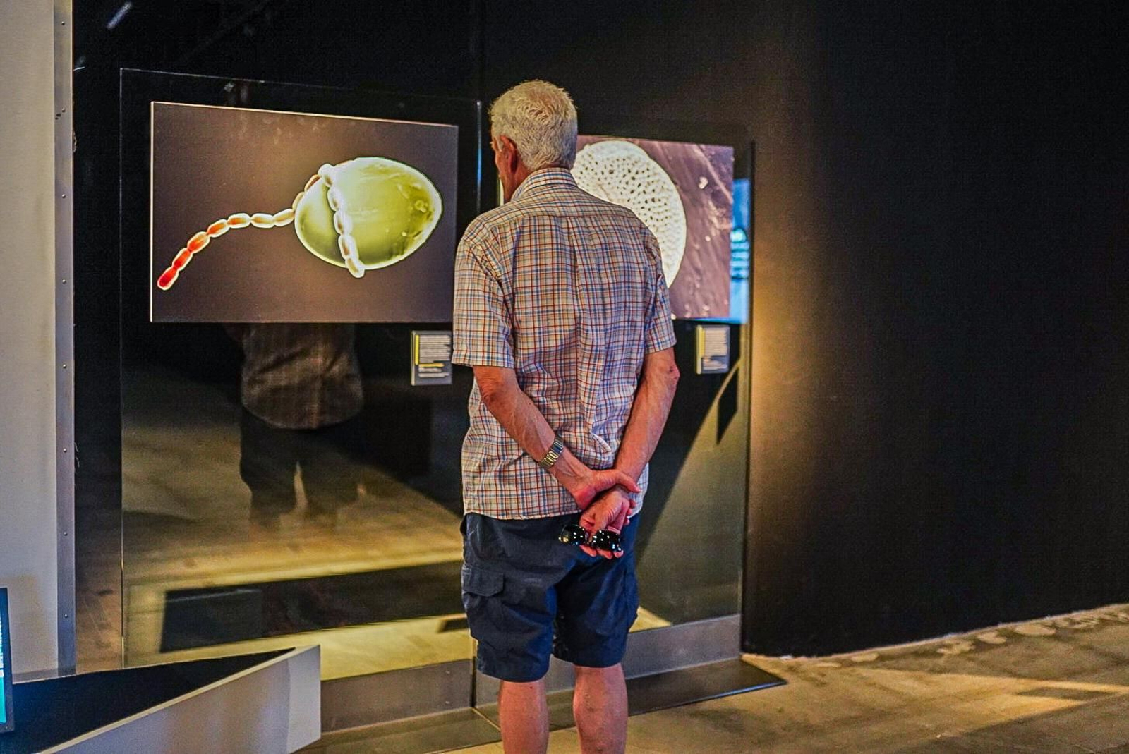 Esta es la nueva exposición del Parque de las Ciencias, las imágenes