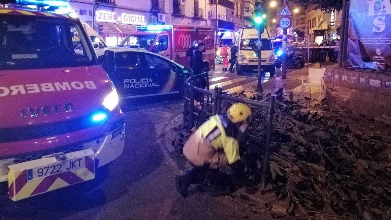Un bombero apila las ramas caídas del ficus.