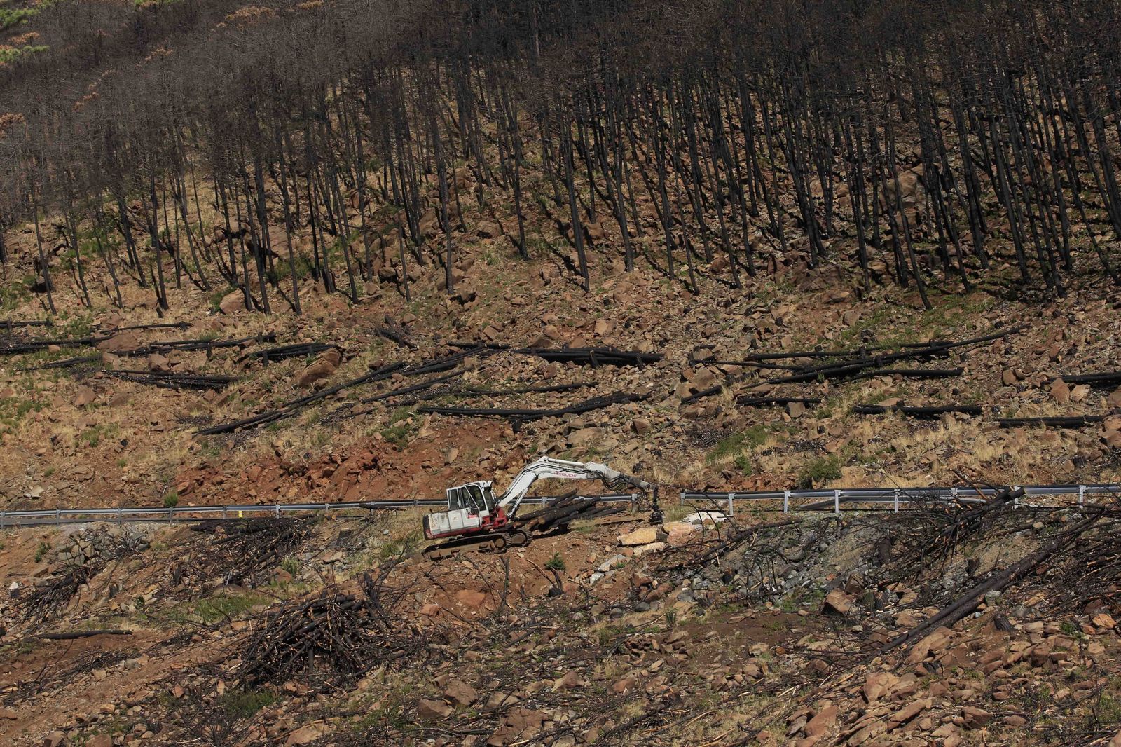 Un año del gran incendio de Sierra Bermeja, en fotos.