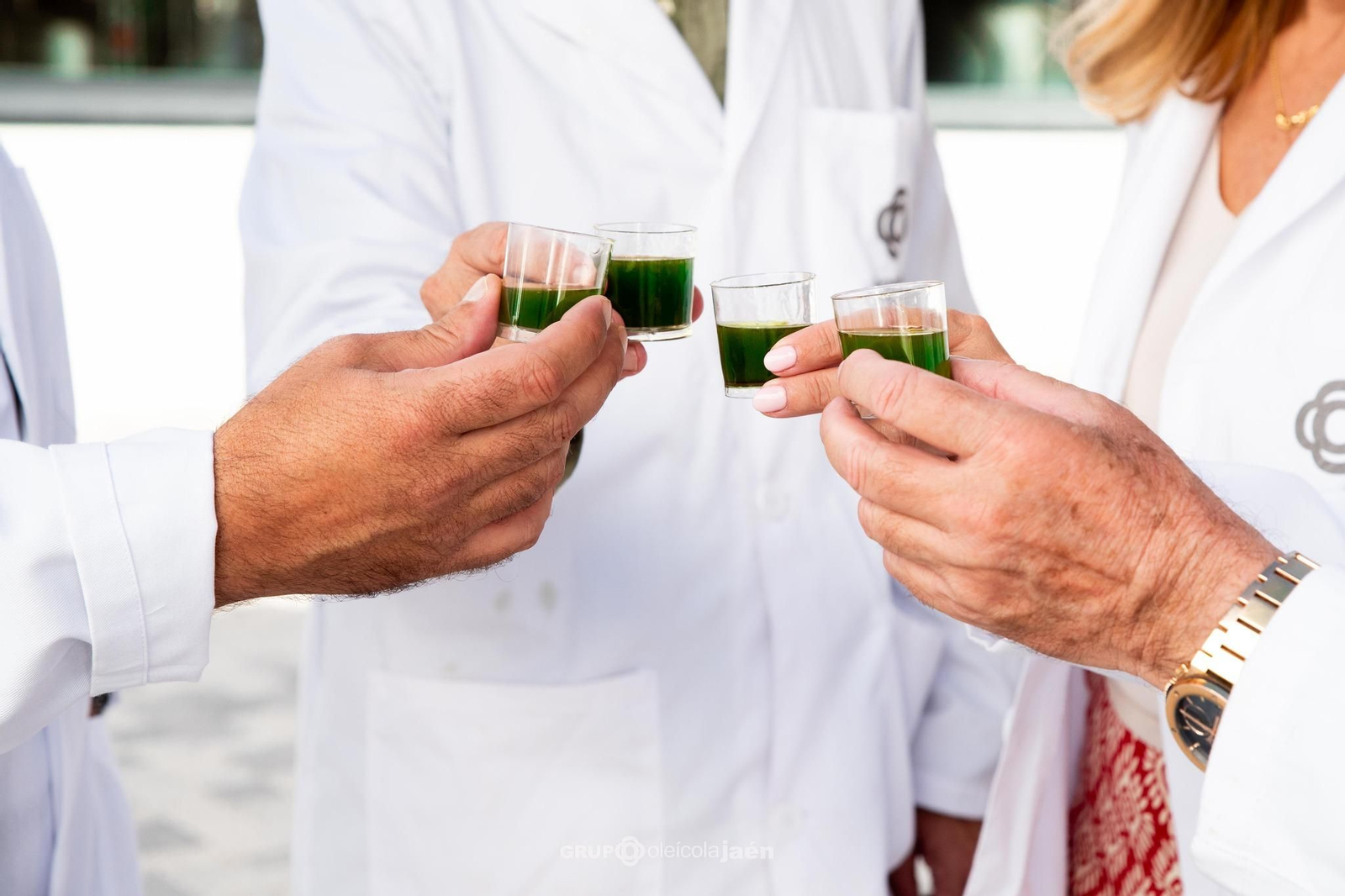 La cata incluye varios aceites de oliva de calidad Premium.