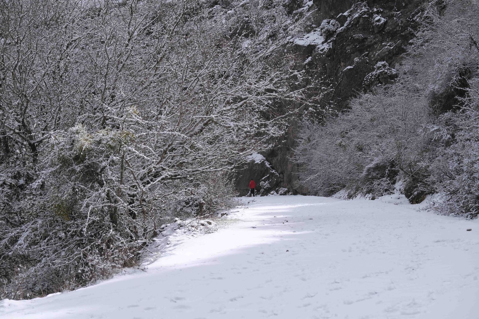 Nevada en la Serranía de Ronda, en fotos.
