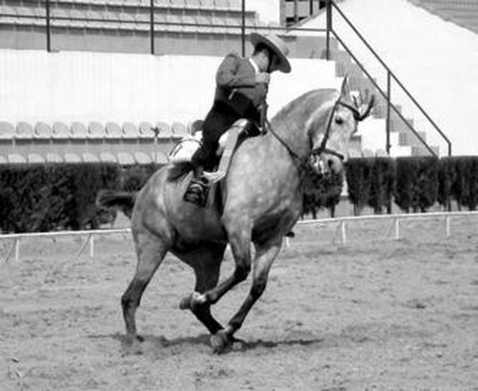 La doma vaquera volverá a tener una cita en la aldea almonteña de El Rocío la próxima semana.