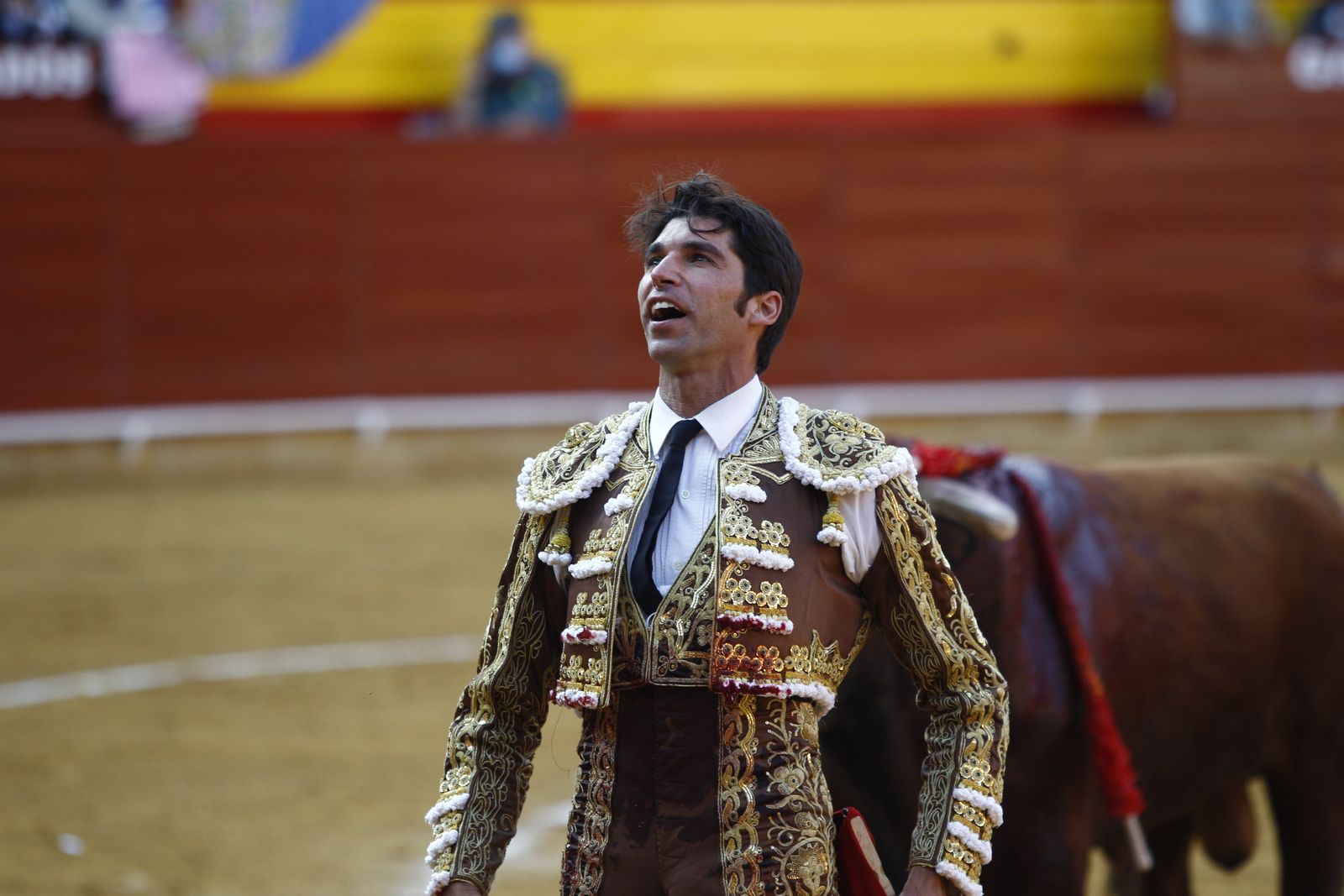 Fotogalería corrida de toros. Cayetano Rivera, Paco Ureña y Roca Rey. Roquetas de Mar.
