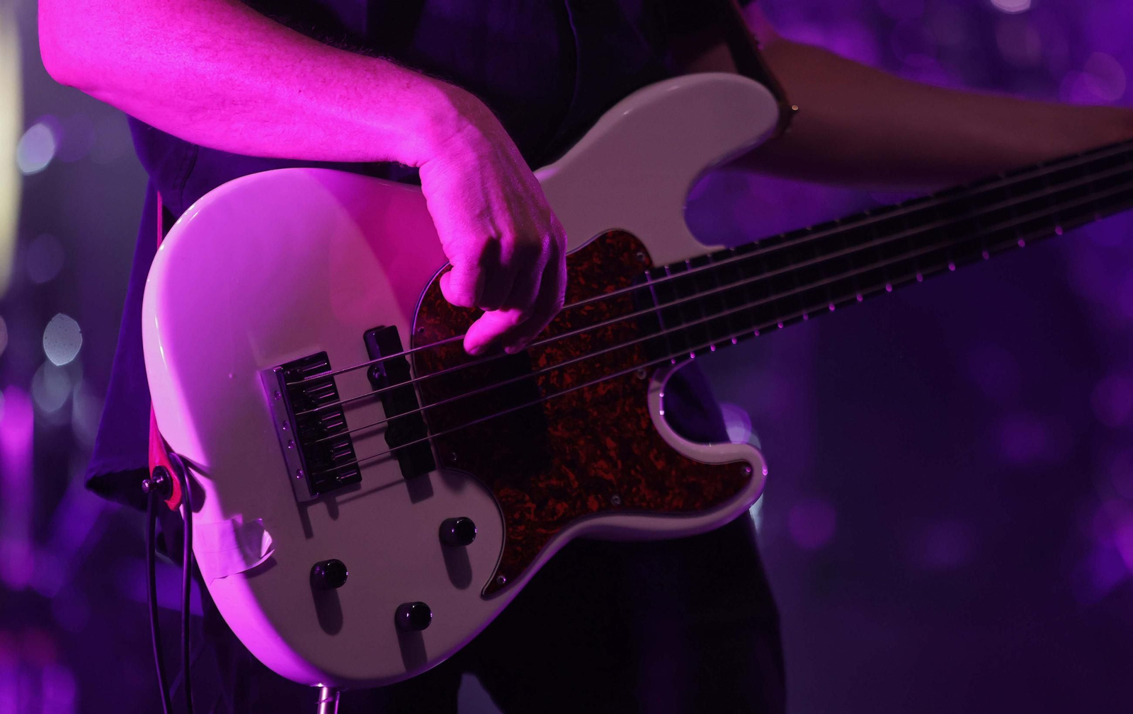 Fotos del concierto de la banda tributo Brothers in Band en Algeciras