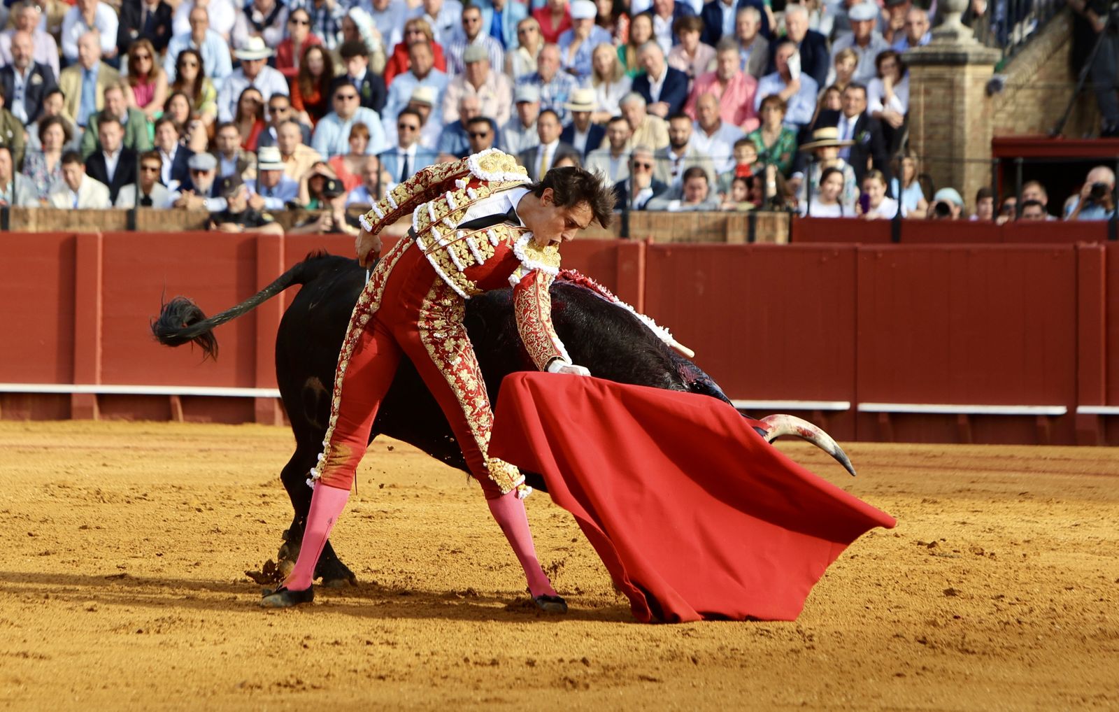 Las mejores imágenes de la corrida de toros de Juan Ortega, Roca Rey y Pablo Aguado