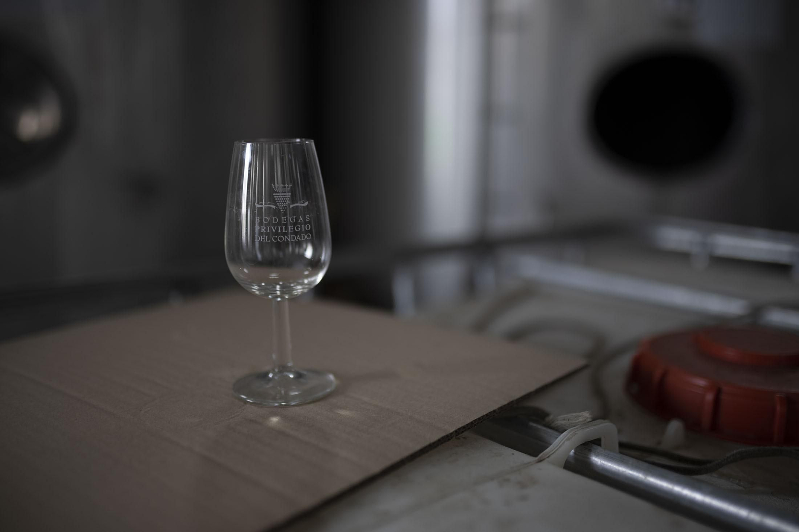 Imágenes de la vendimia en el Condado de Huelva