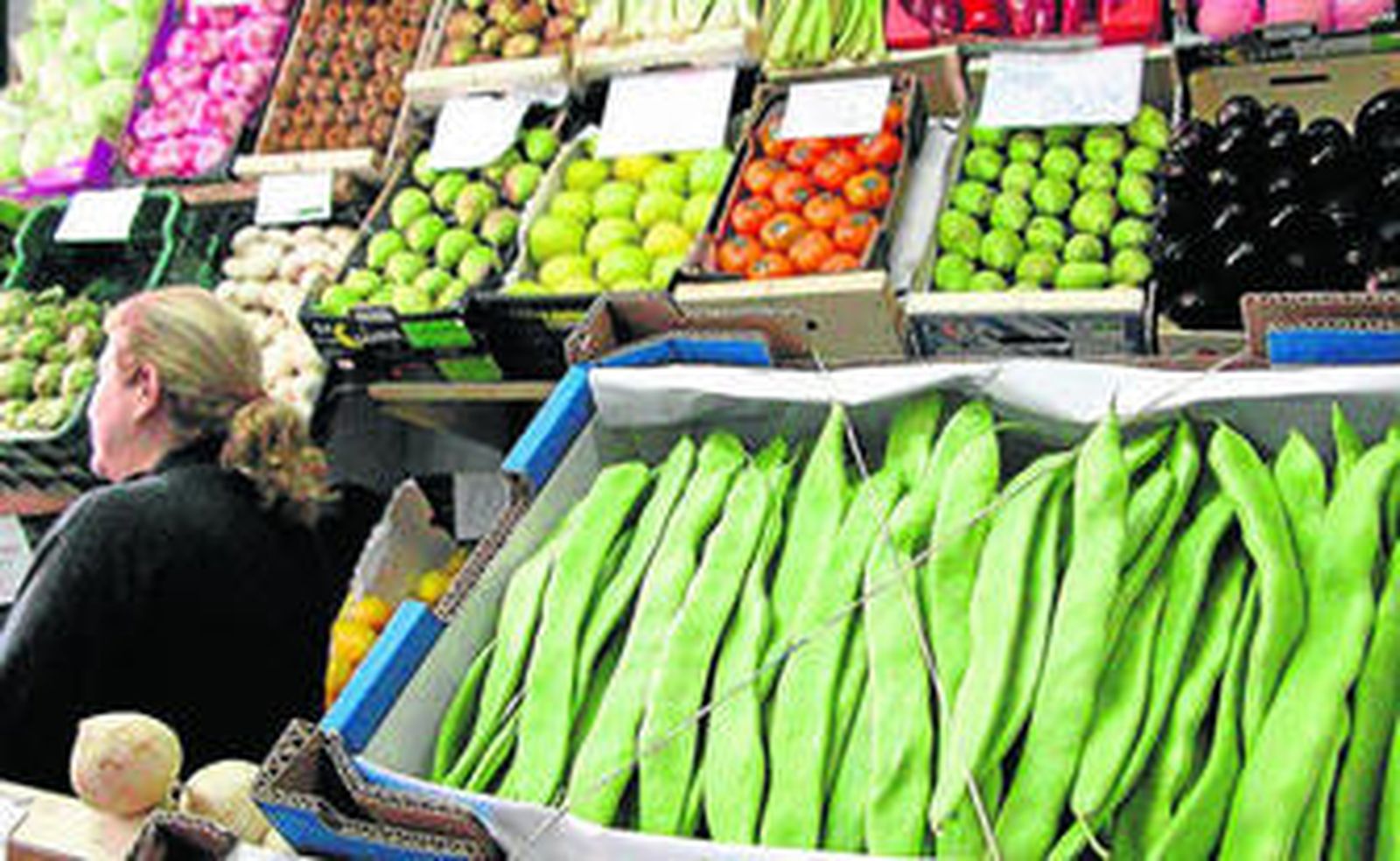 La judía verde es el único cultivo almeriense que ha visto crecer sus precios en la campaña 2013-2014.